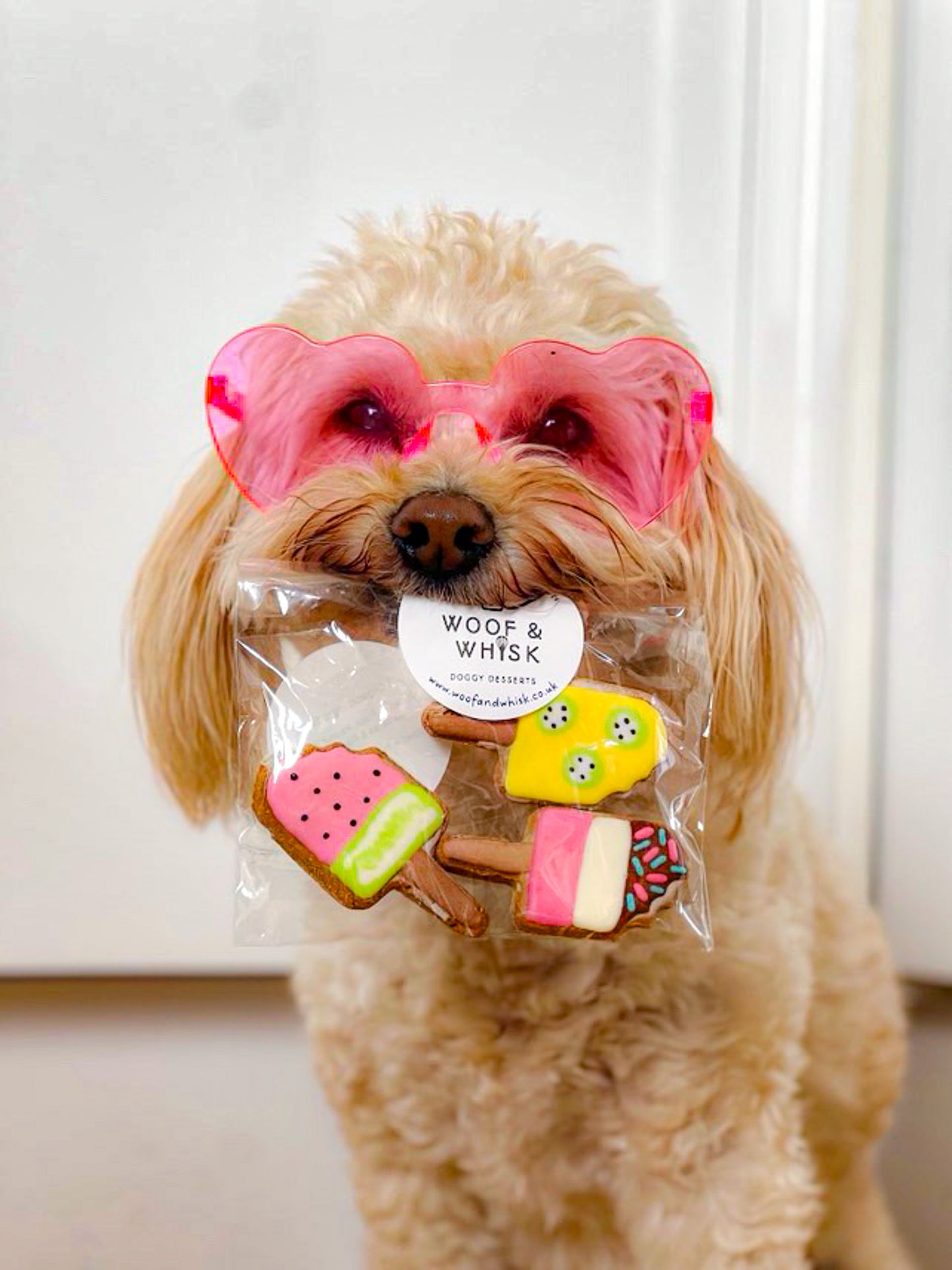 Lolly Pups