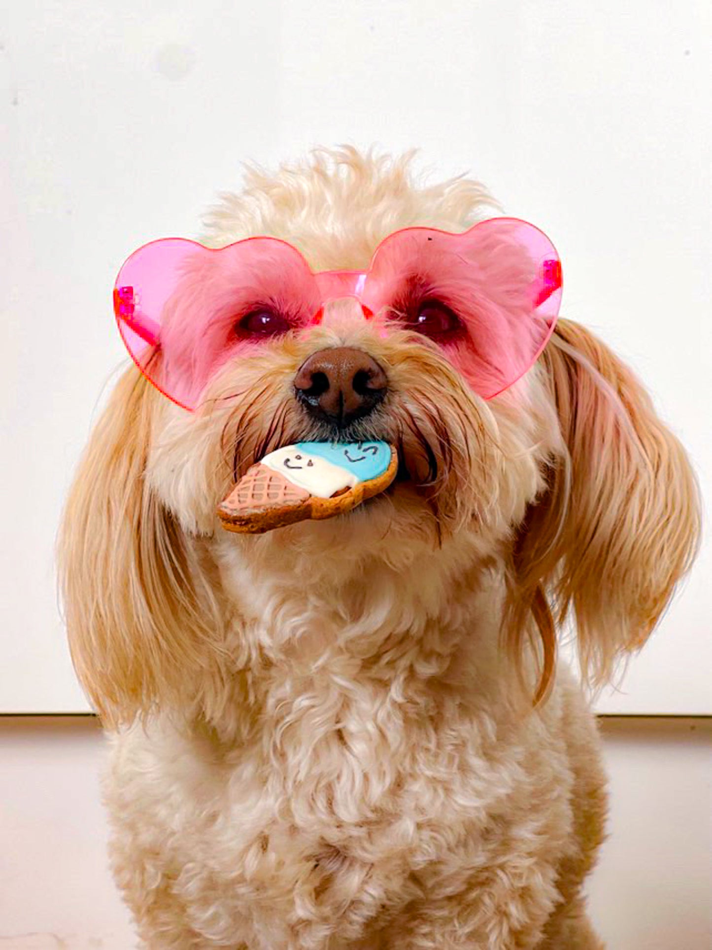 Smiley Scoops