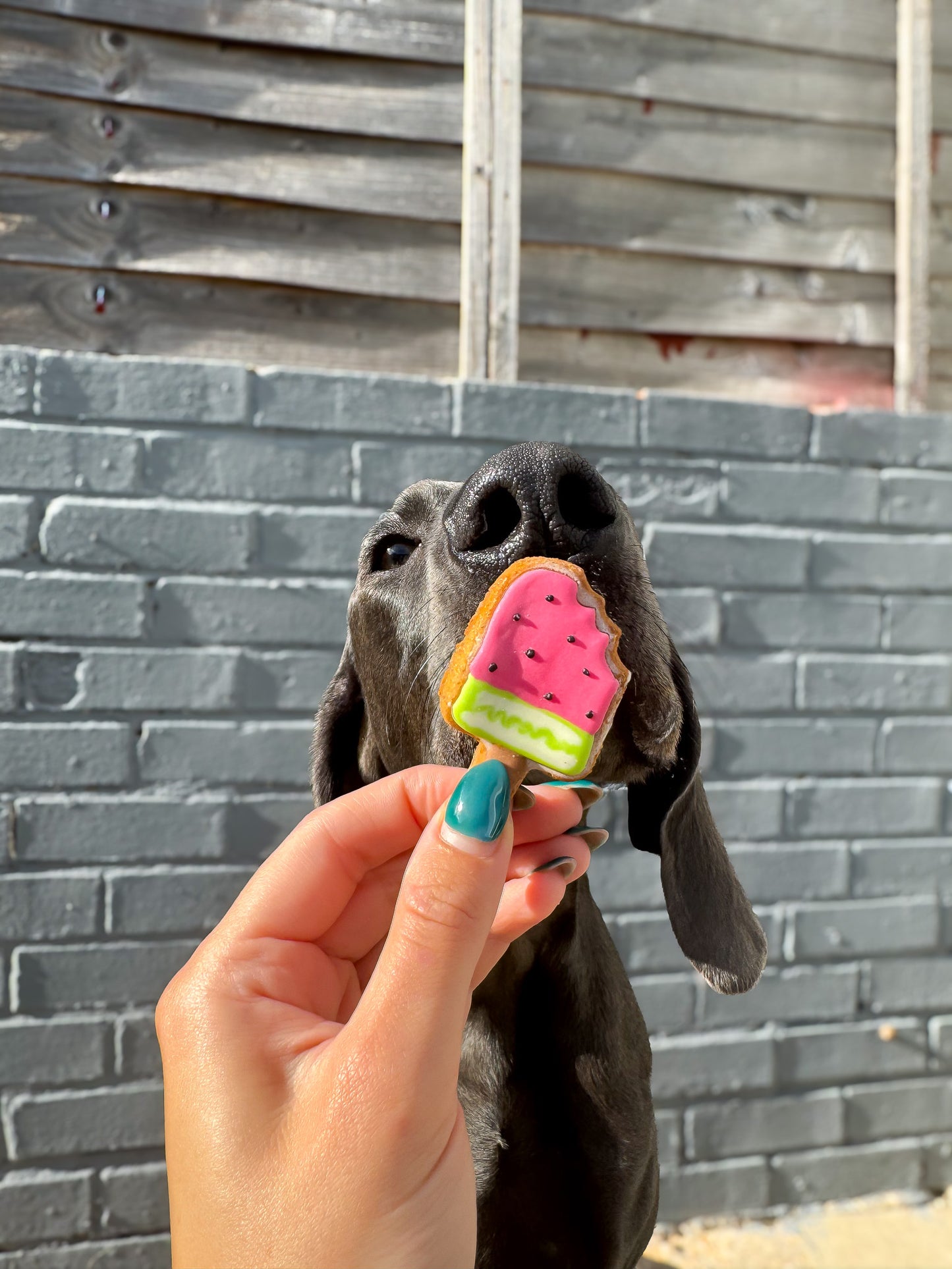 Lolly Pups