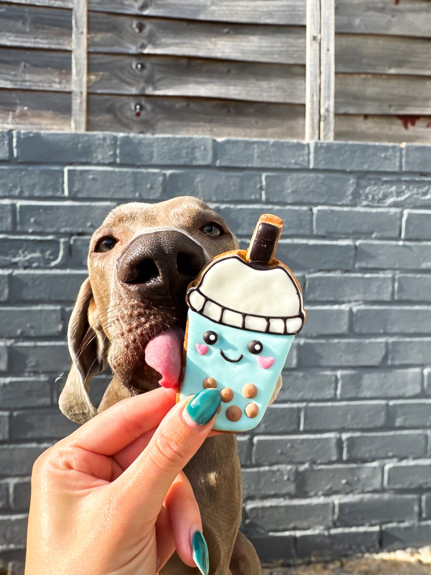 Boba Tea Biscuit