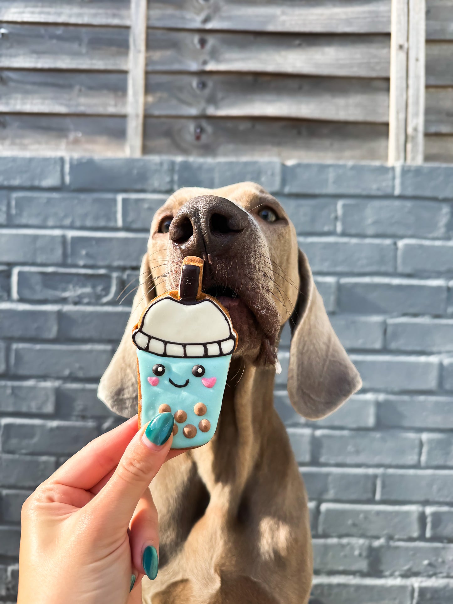 Boba Tea Biscuit