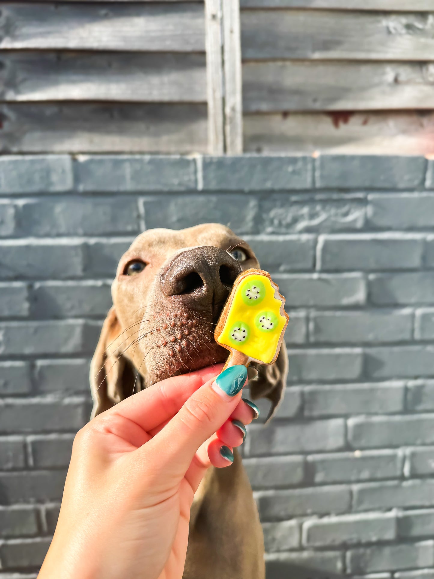 Lolly Pups