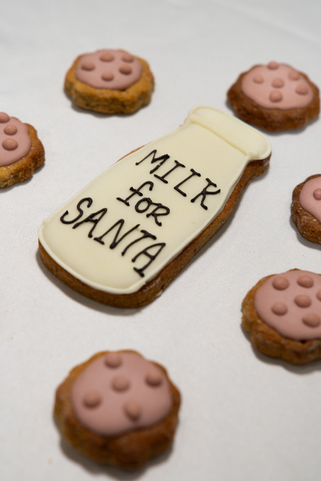 Milk & Cookies for Santa