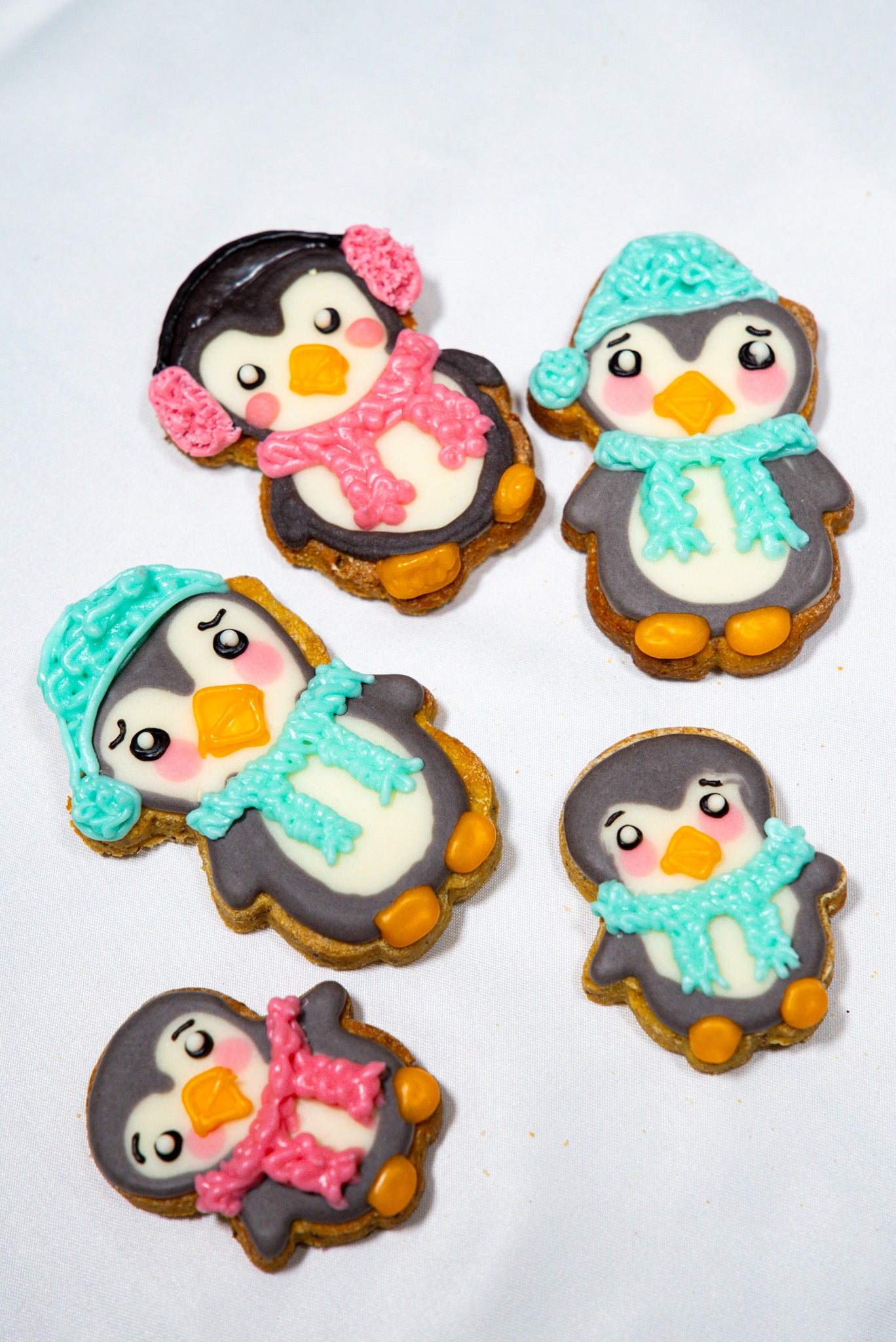 Cute Penguin Set