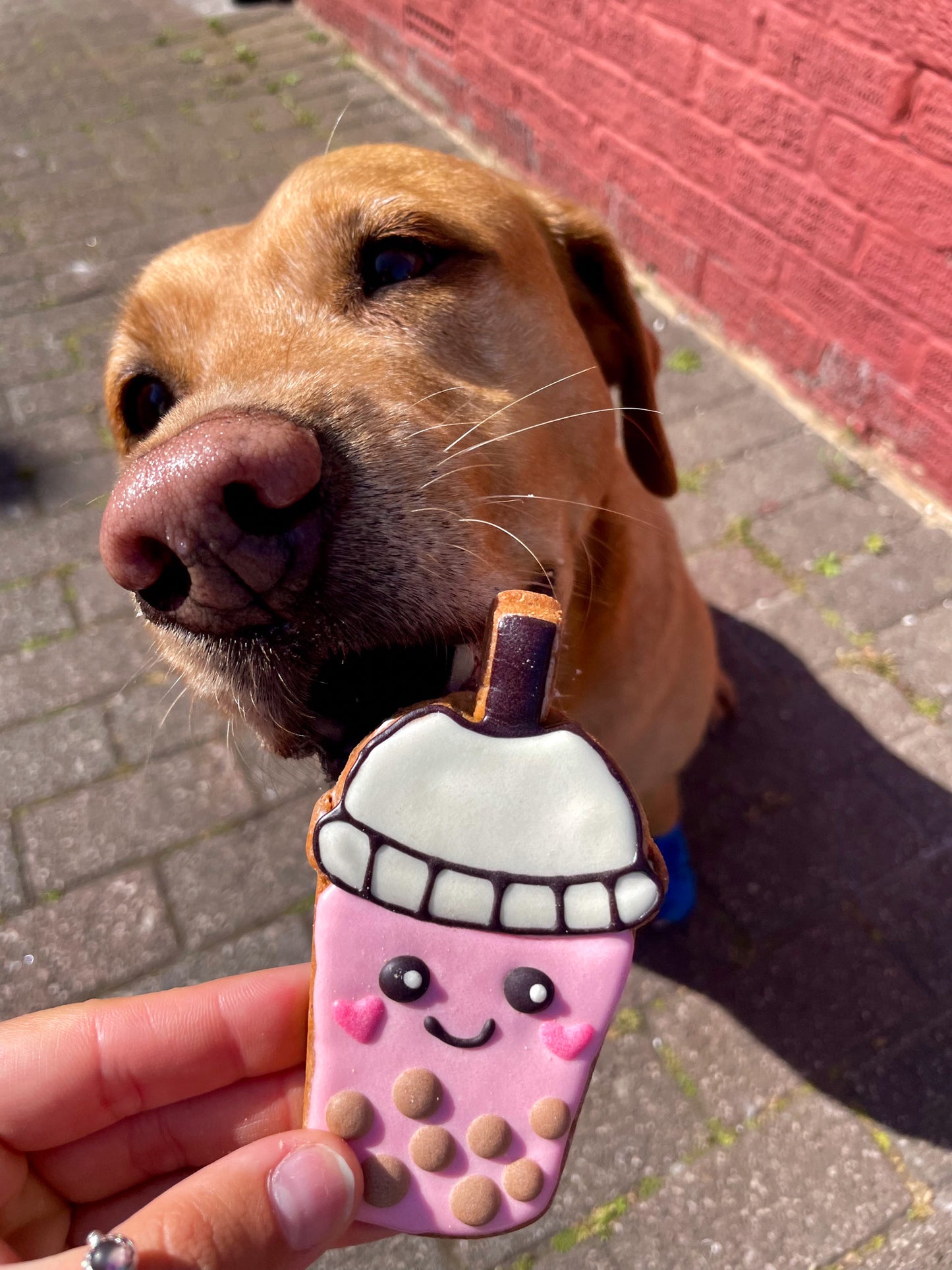 Boba Tea Biscuit