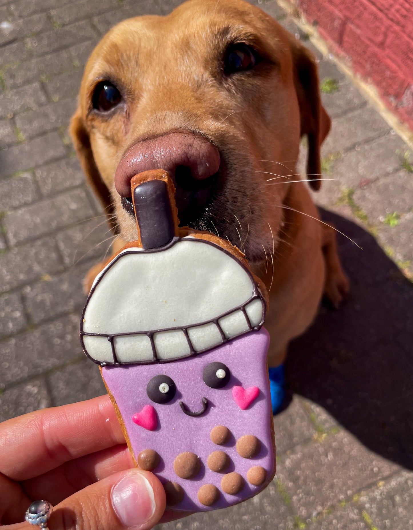Boba Tea Biscuit