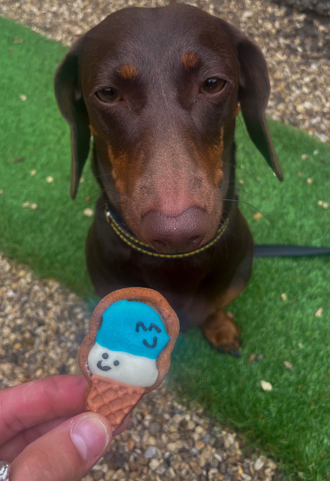 Smiley Scoops