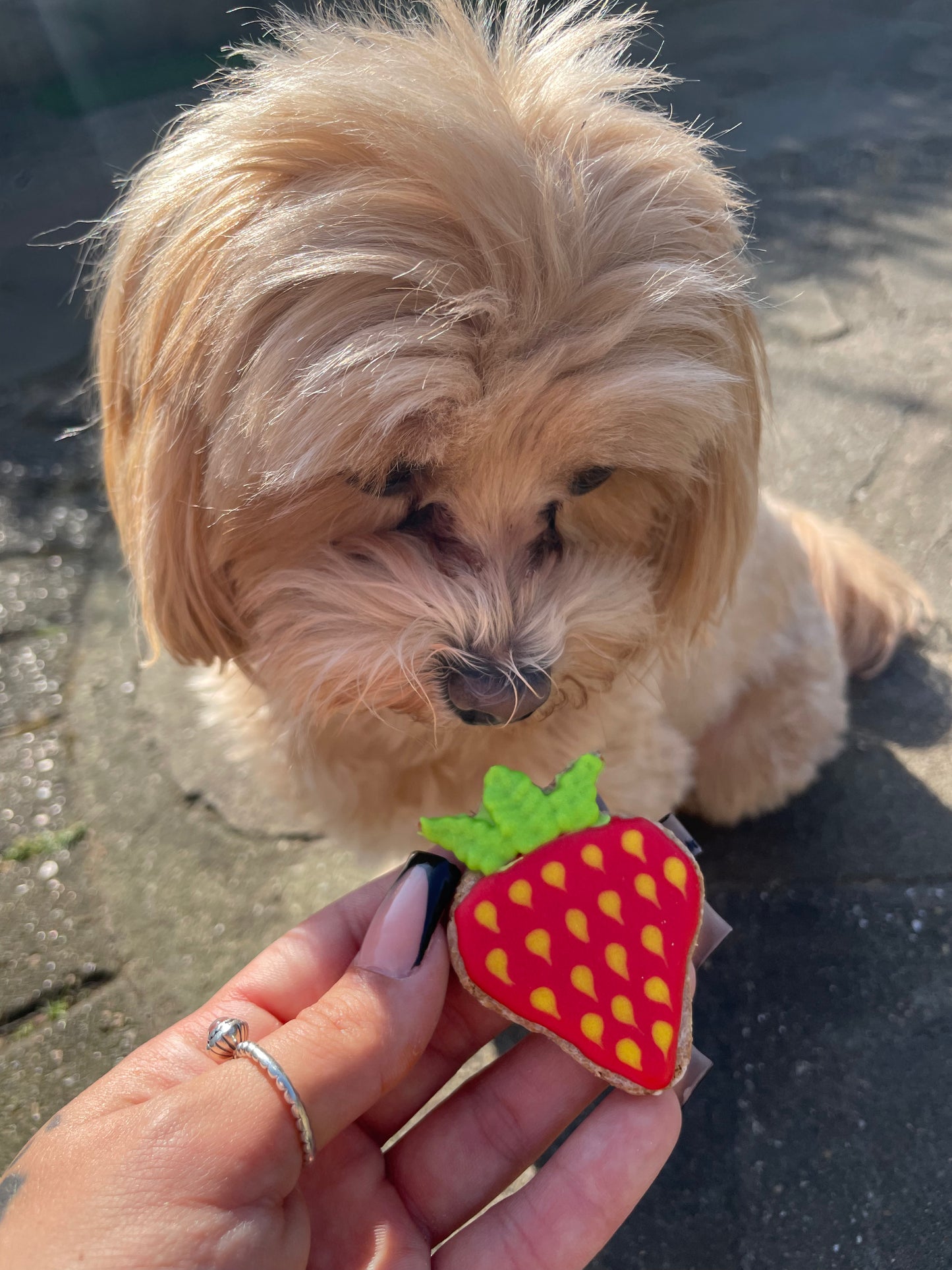 Strawbs