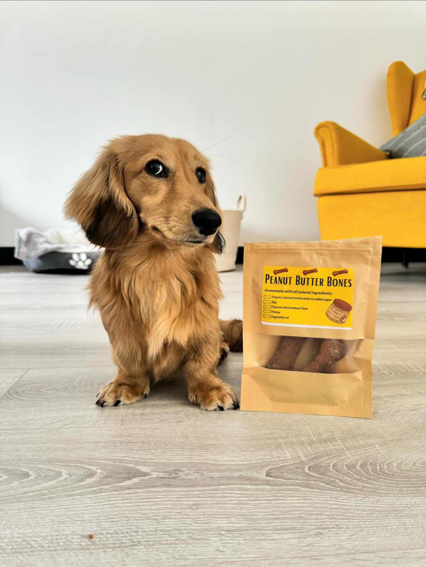 Peanut Butter Bones