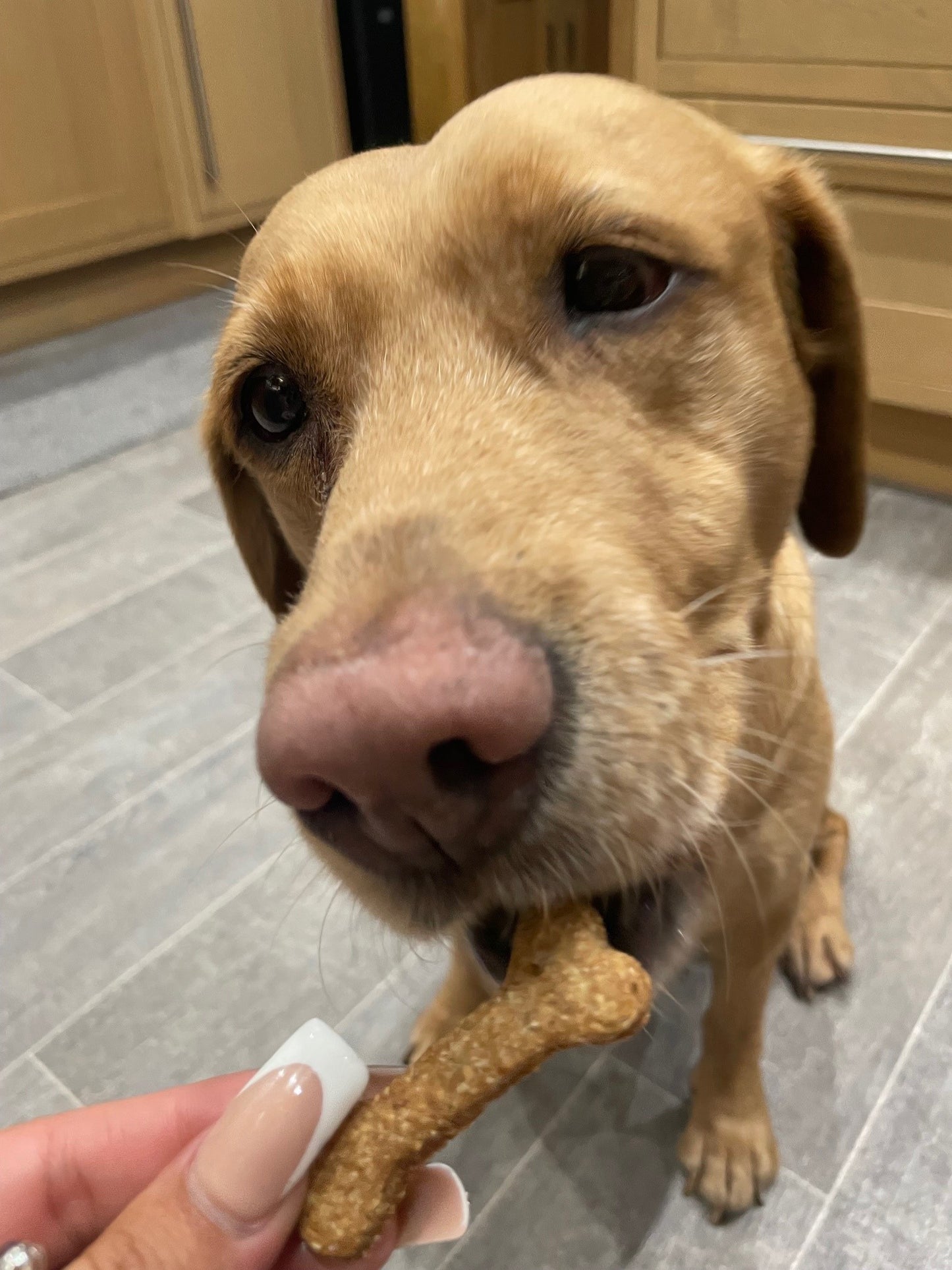 Peanut Butter Bones