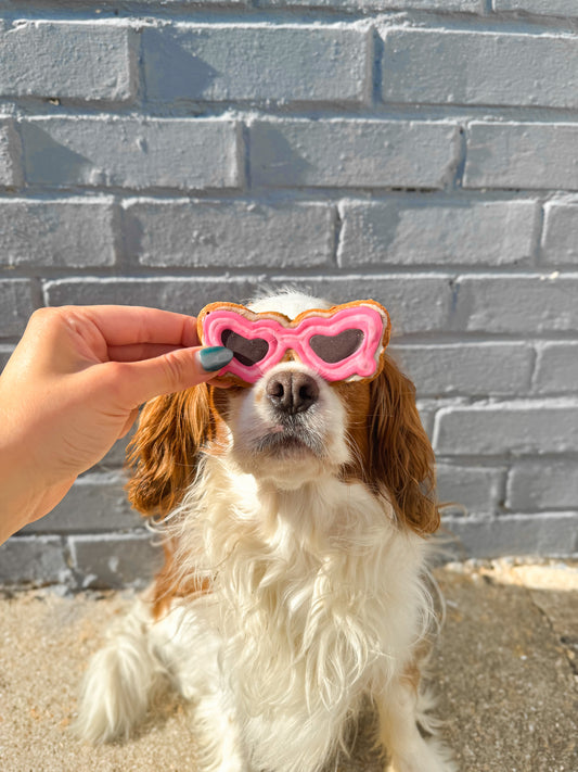Pup Shades