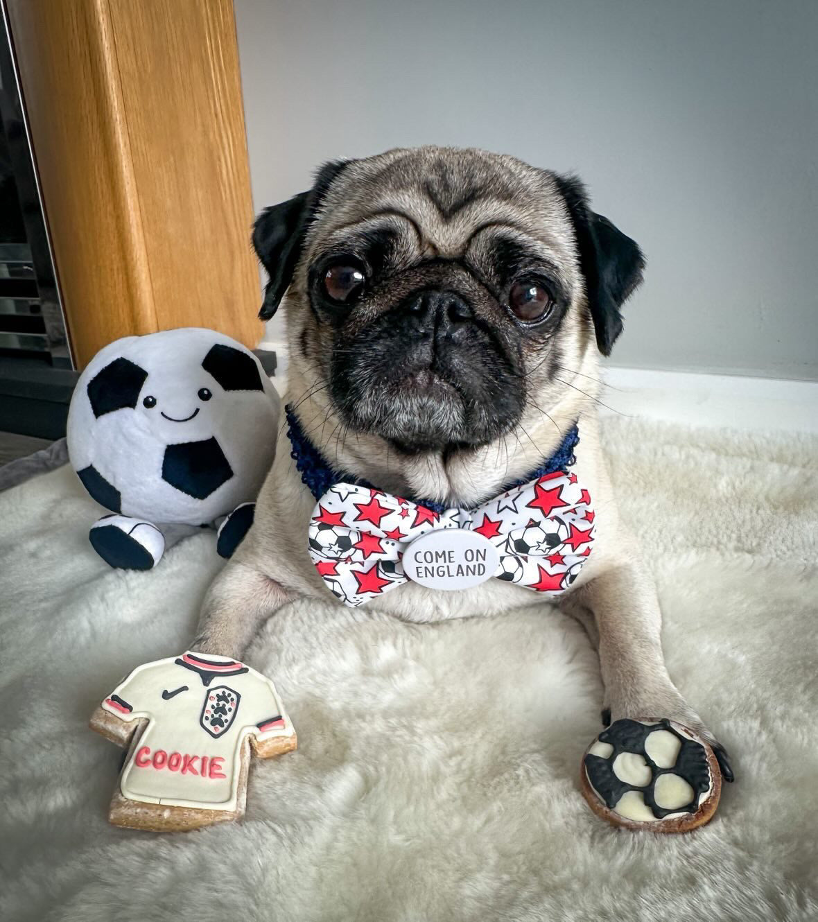 England Till I Woof Set