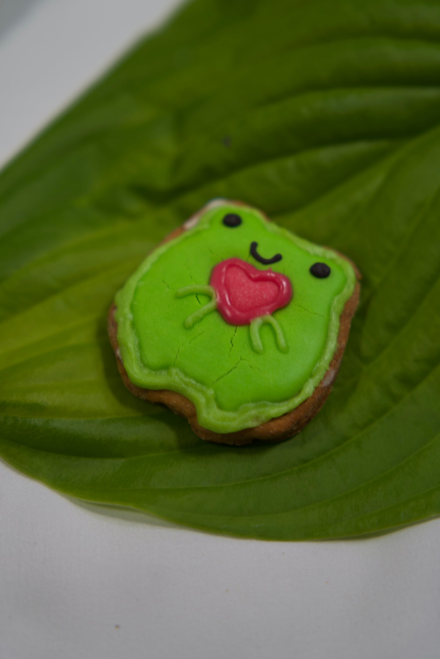 Send a heart from Fergus the Frog 🐸💚