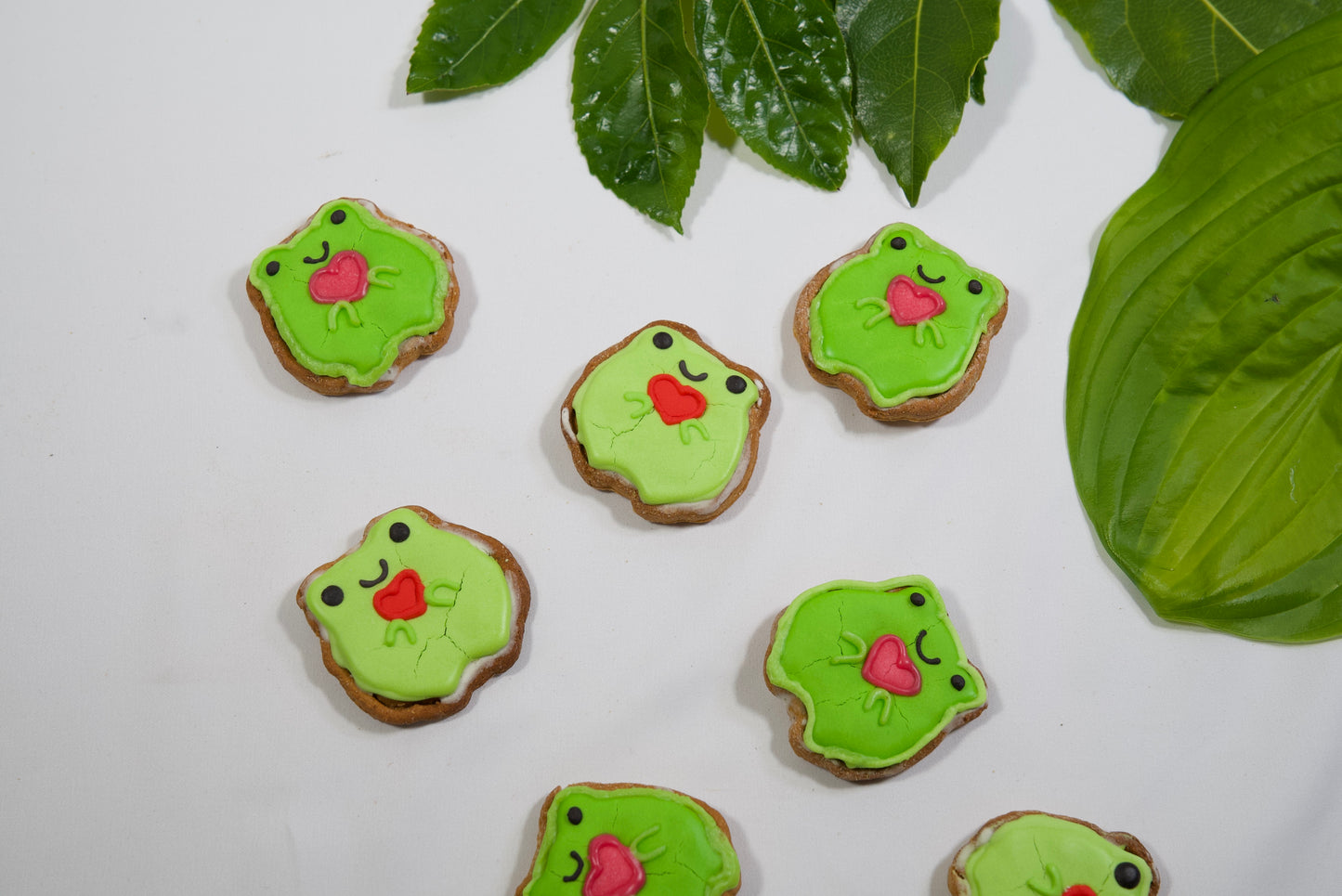 Send a heart from Fergus the Frog 🐸💚
