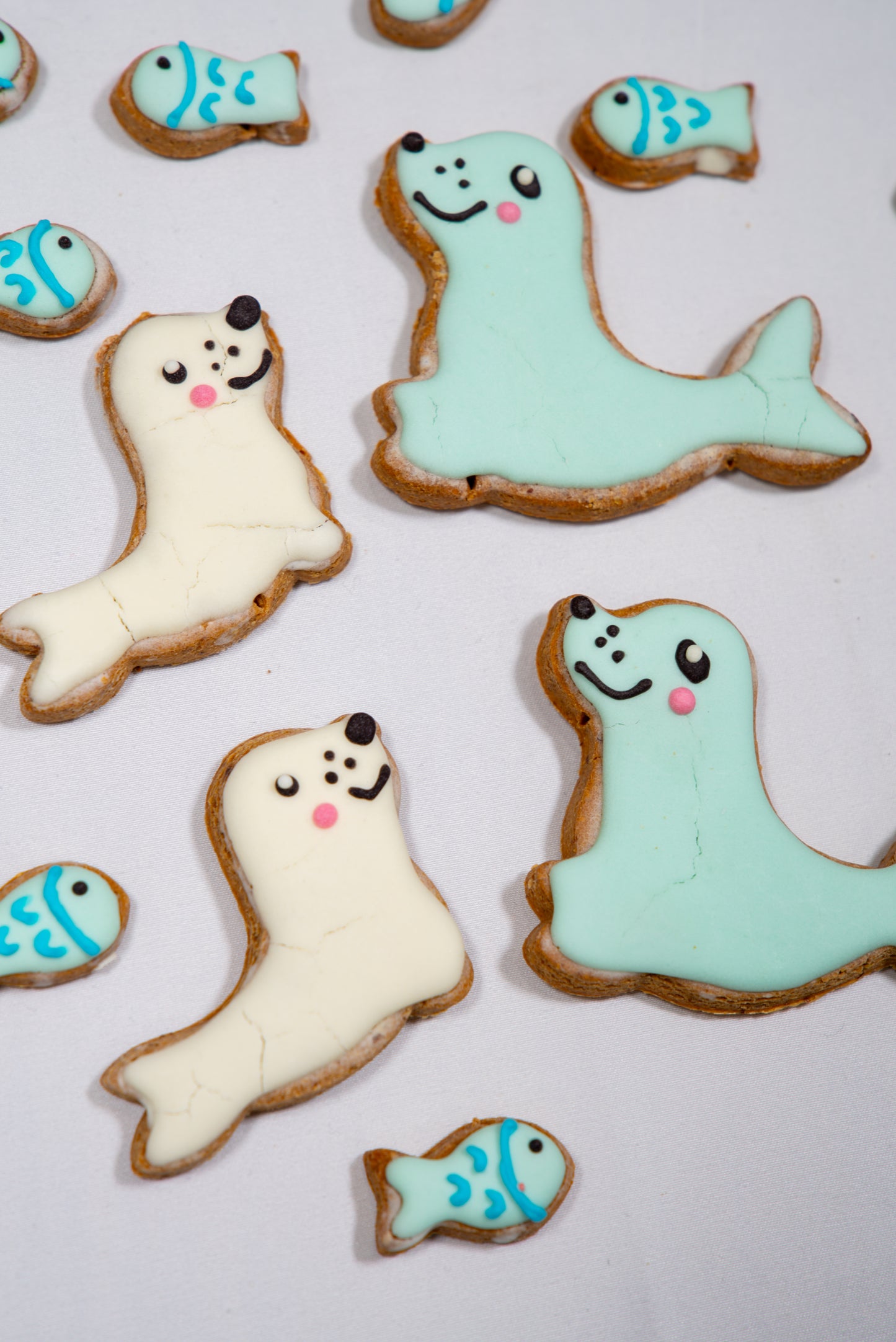 Baby Seal & Fish Set