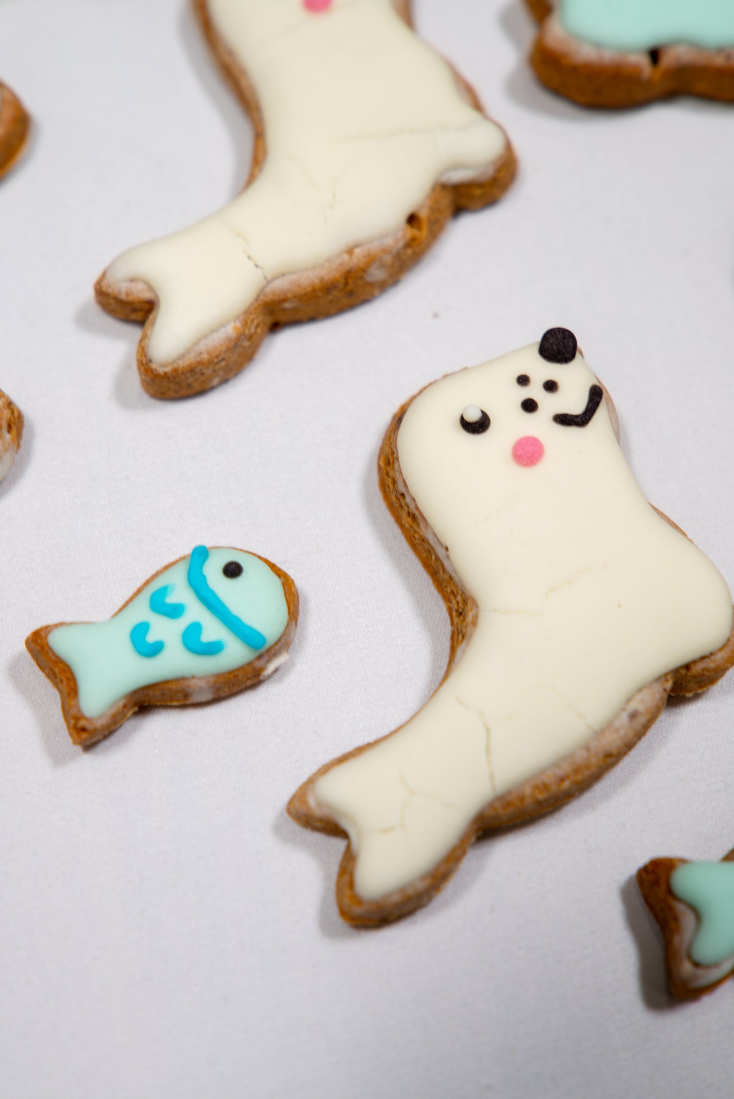 Baby Seal & Fish Set