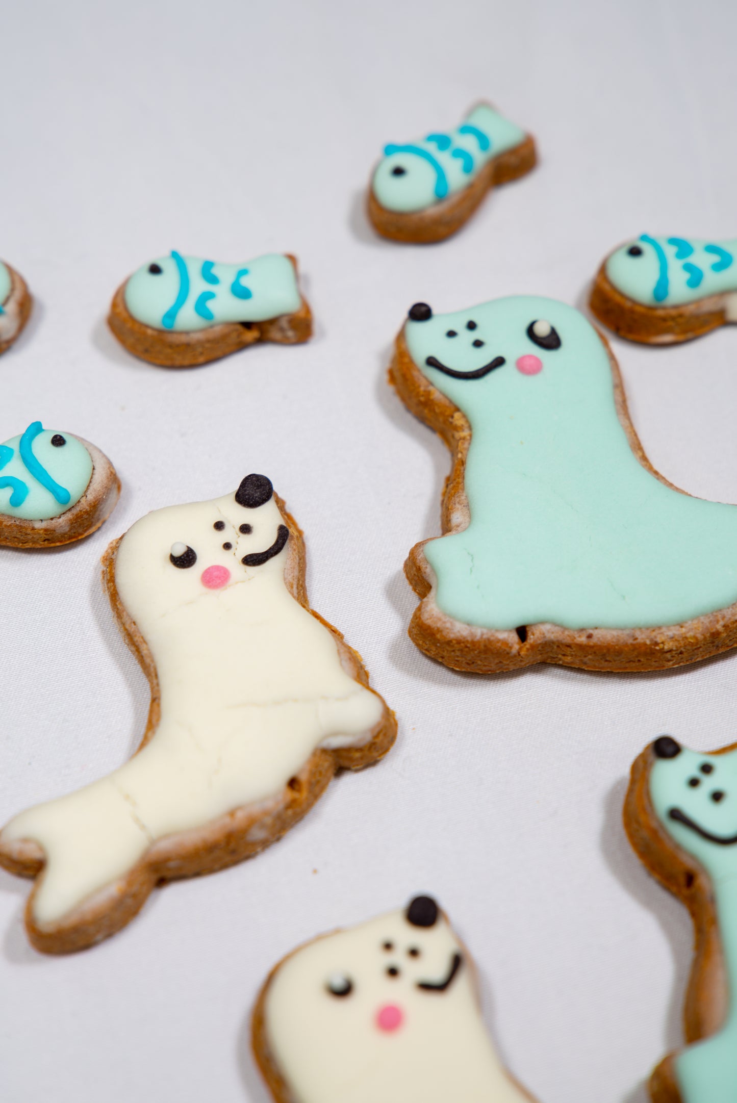 Baby Seal & Fish Set