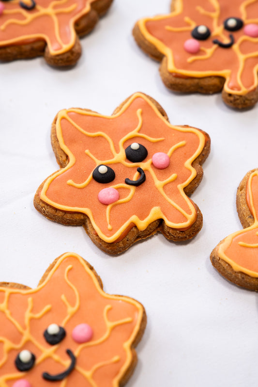 Large Smiley Maple Leaf