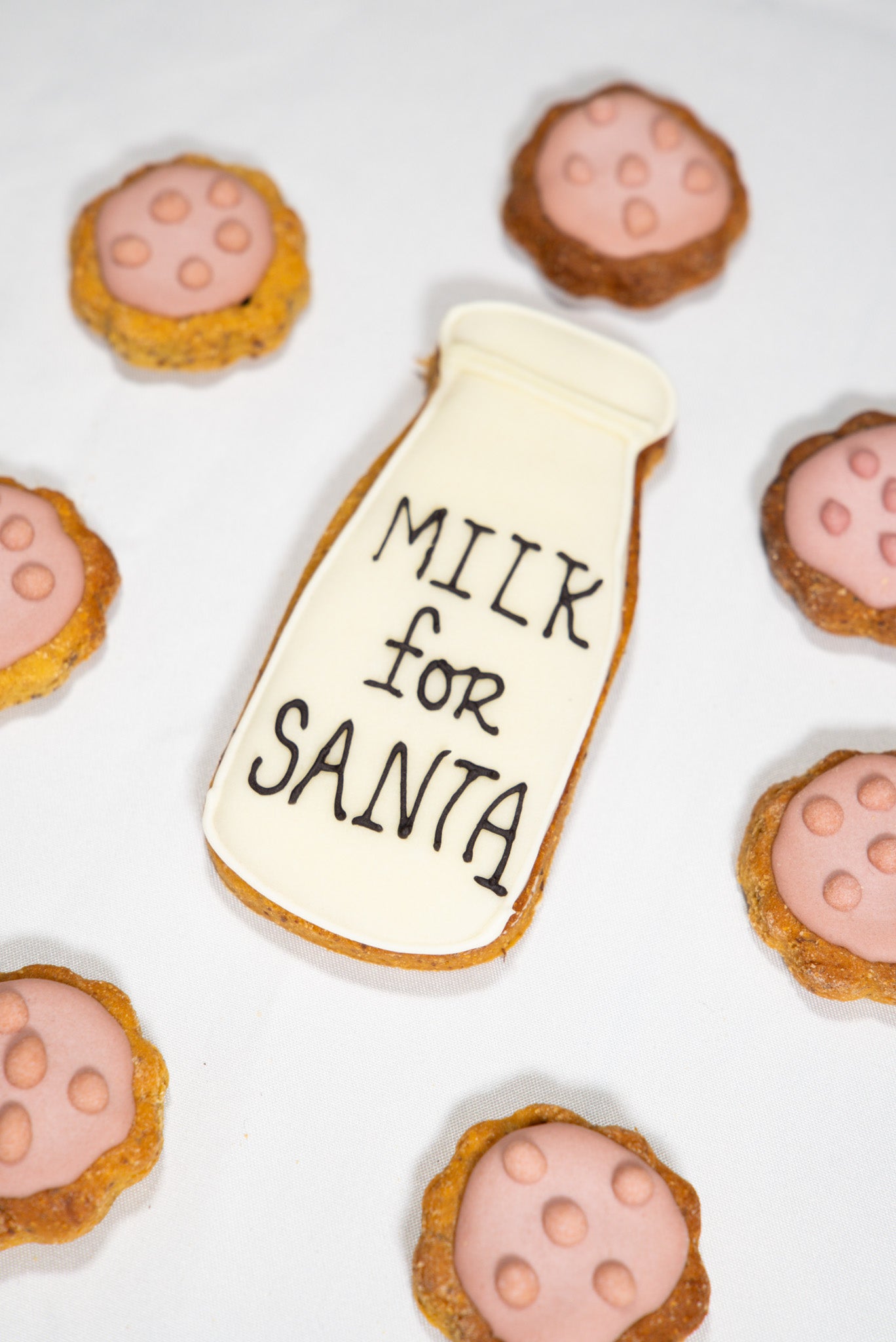 Milk & Cookies for Santa