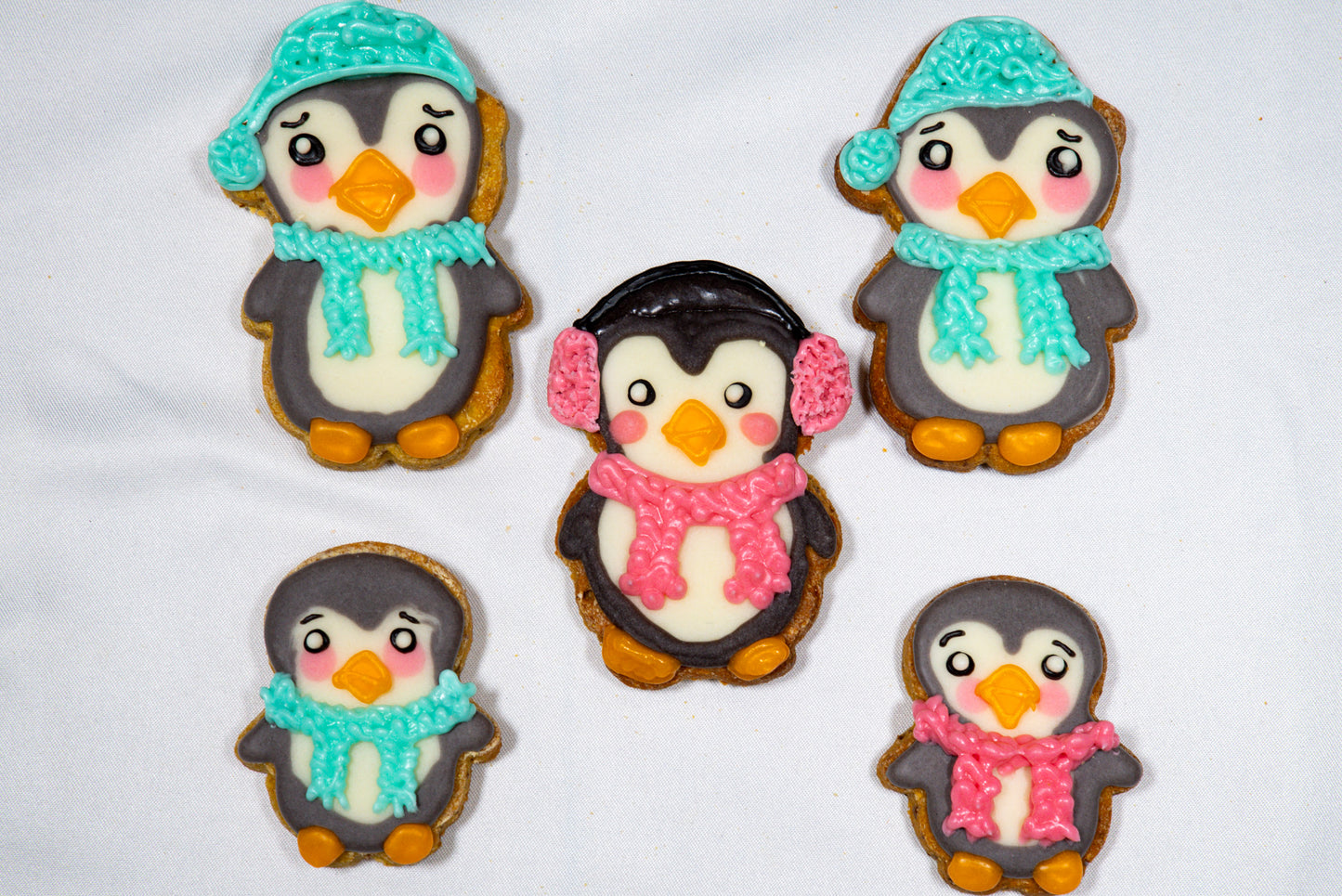 Cute Penguin Set