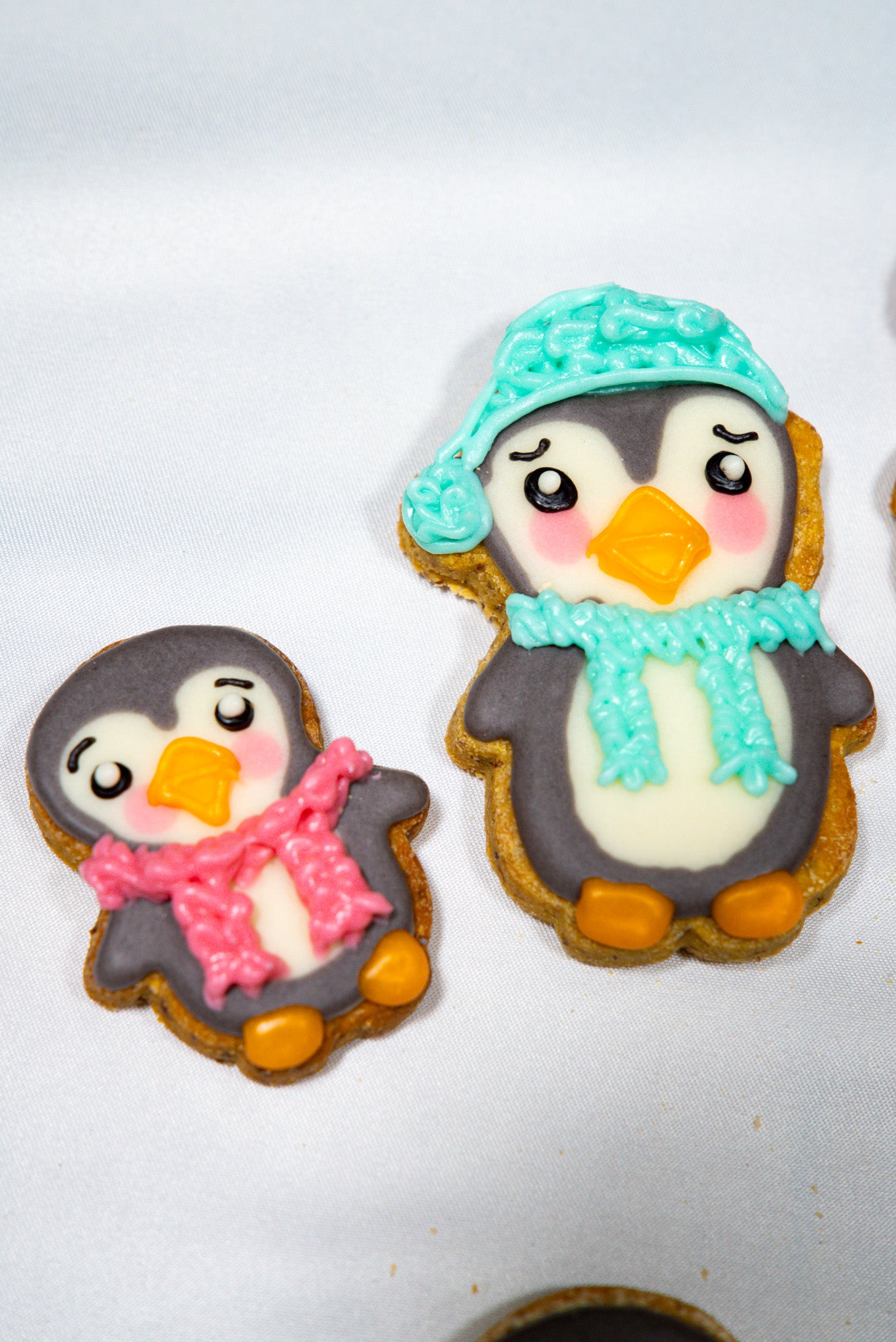 Cute Penguin Set