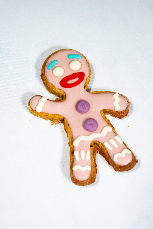 Gingy The Gingerbread Man