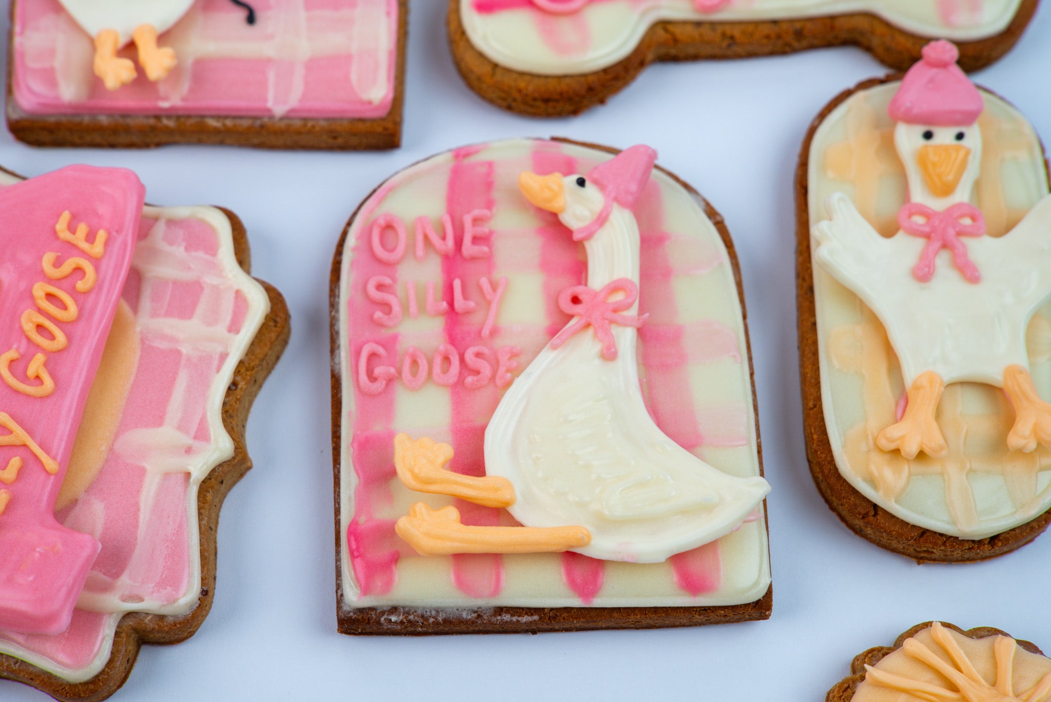 The Silly Goose Bespoke Birthday Box