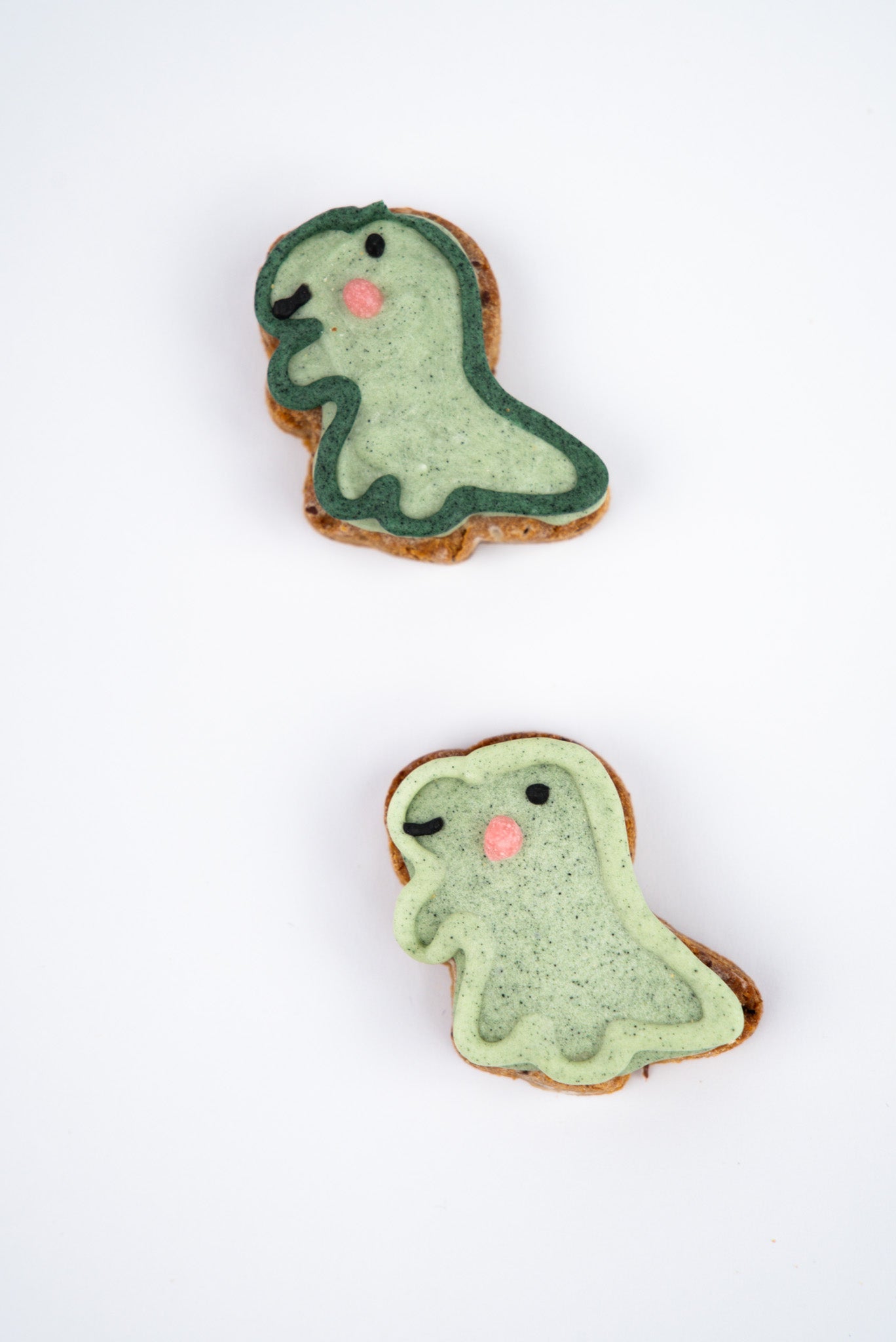 mini dinosaurs on white background