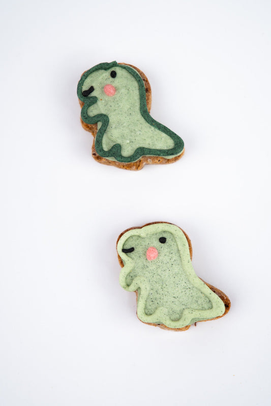 mini dinosaurs on white background