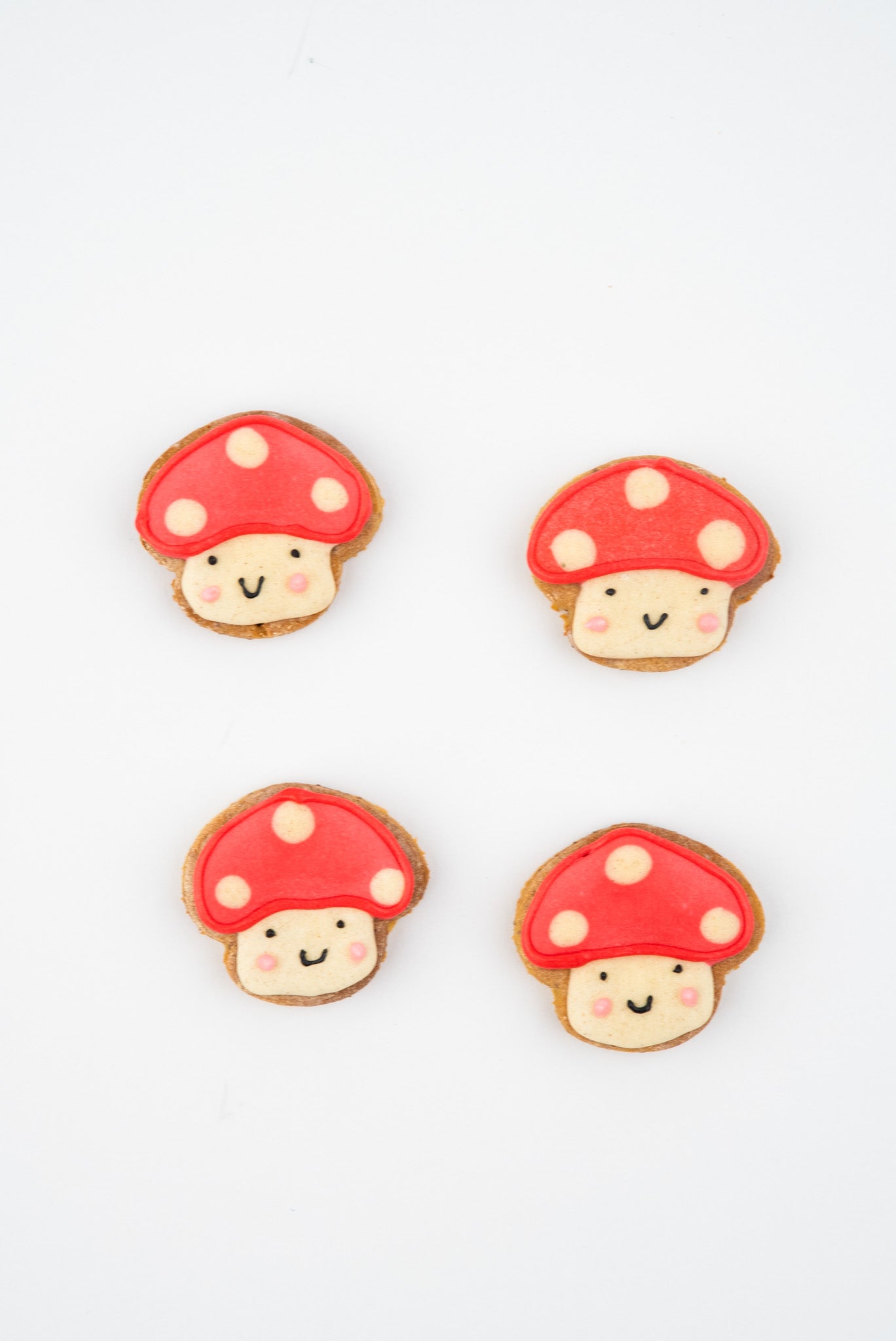Mini Toadstools - 4 pack
