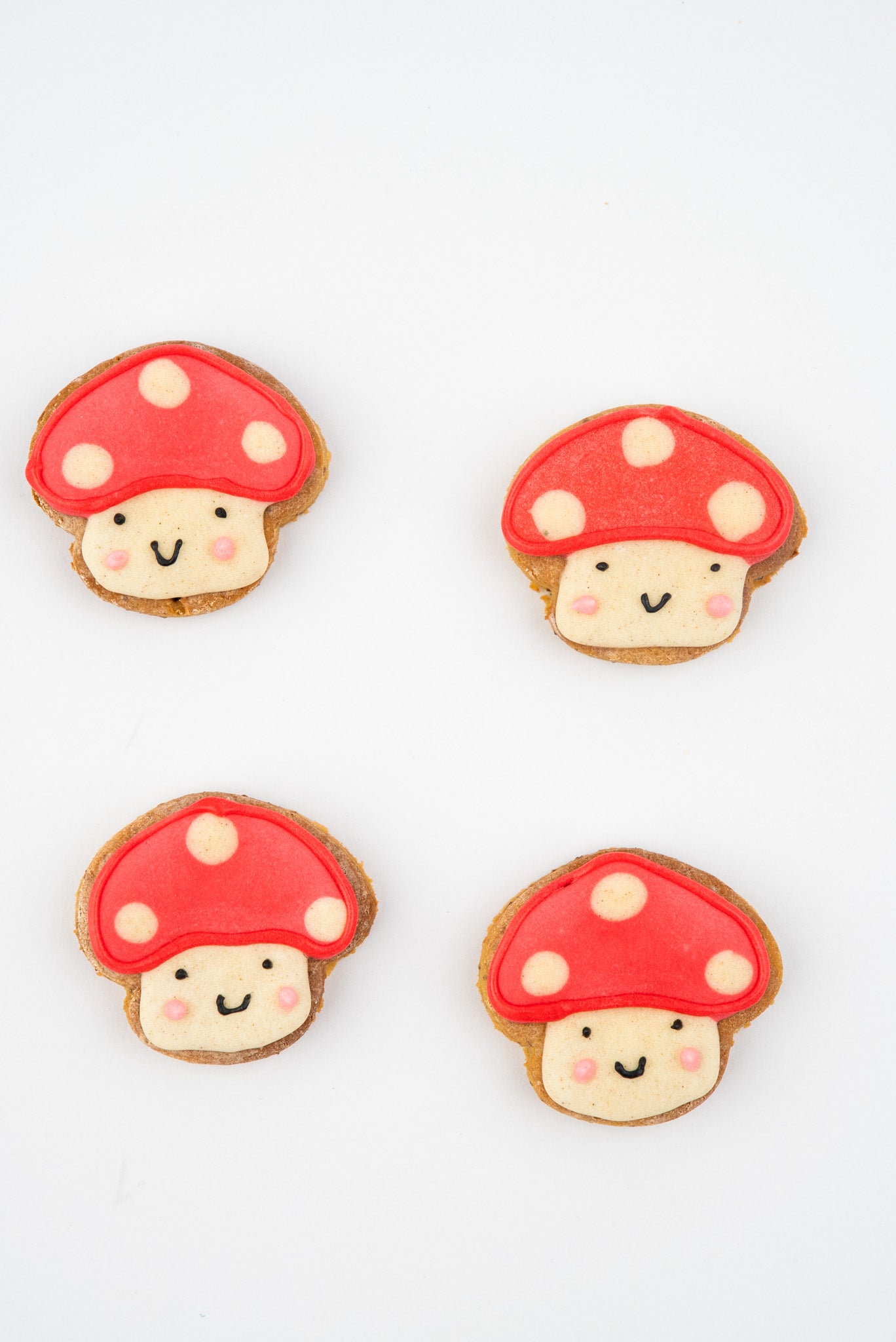 Mini Toadstools - 4 pack