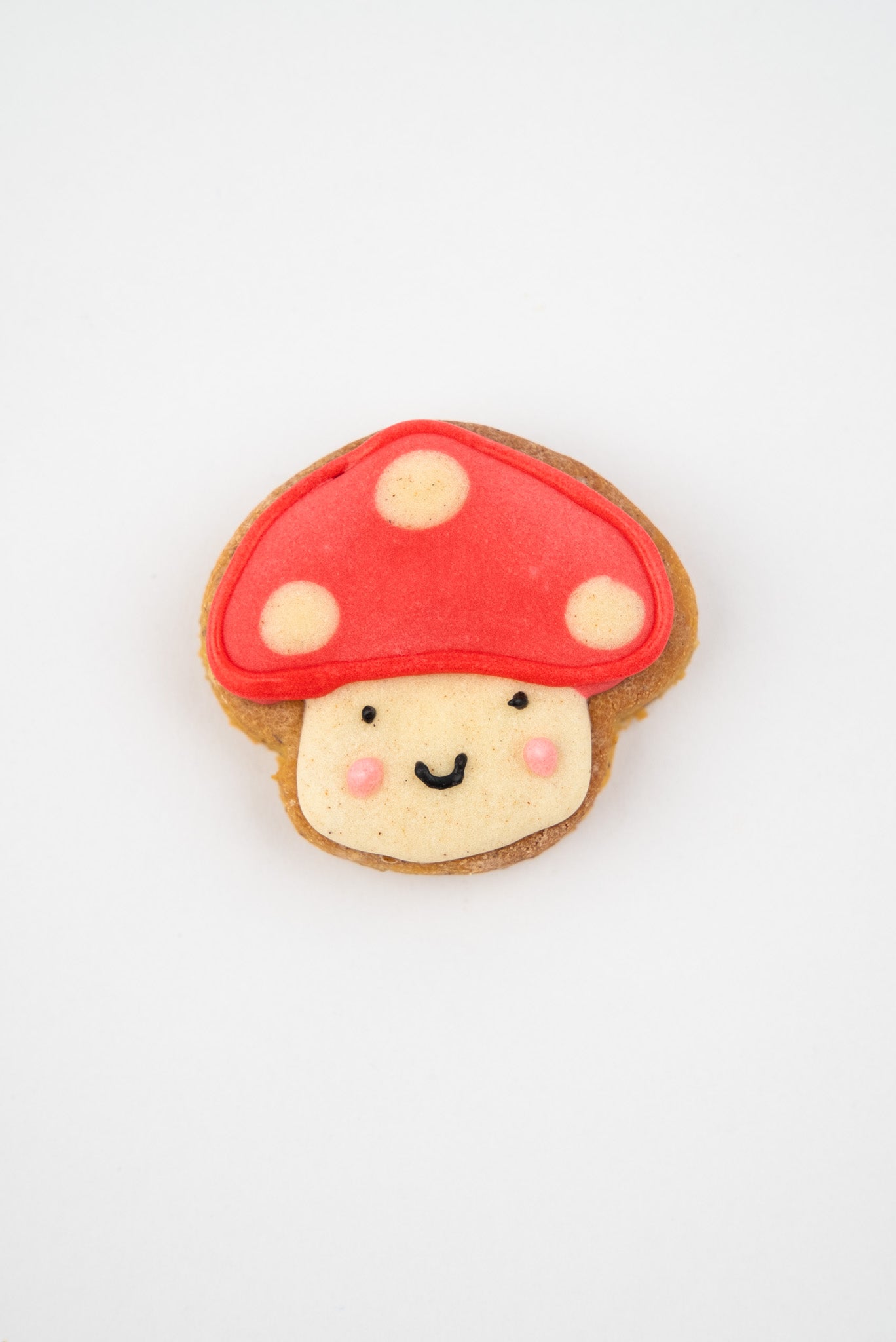 Mini Toadstools - 4 pack