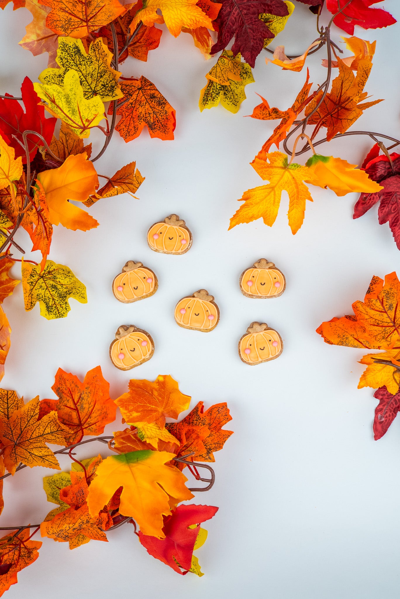 Mini Cute Pumpkins - 4 pack