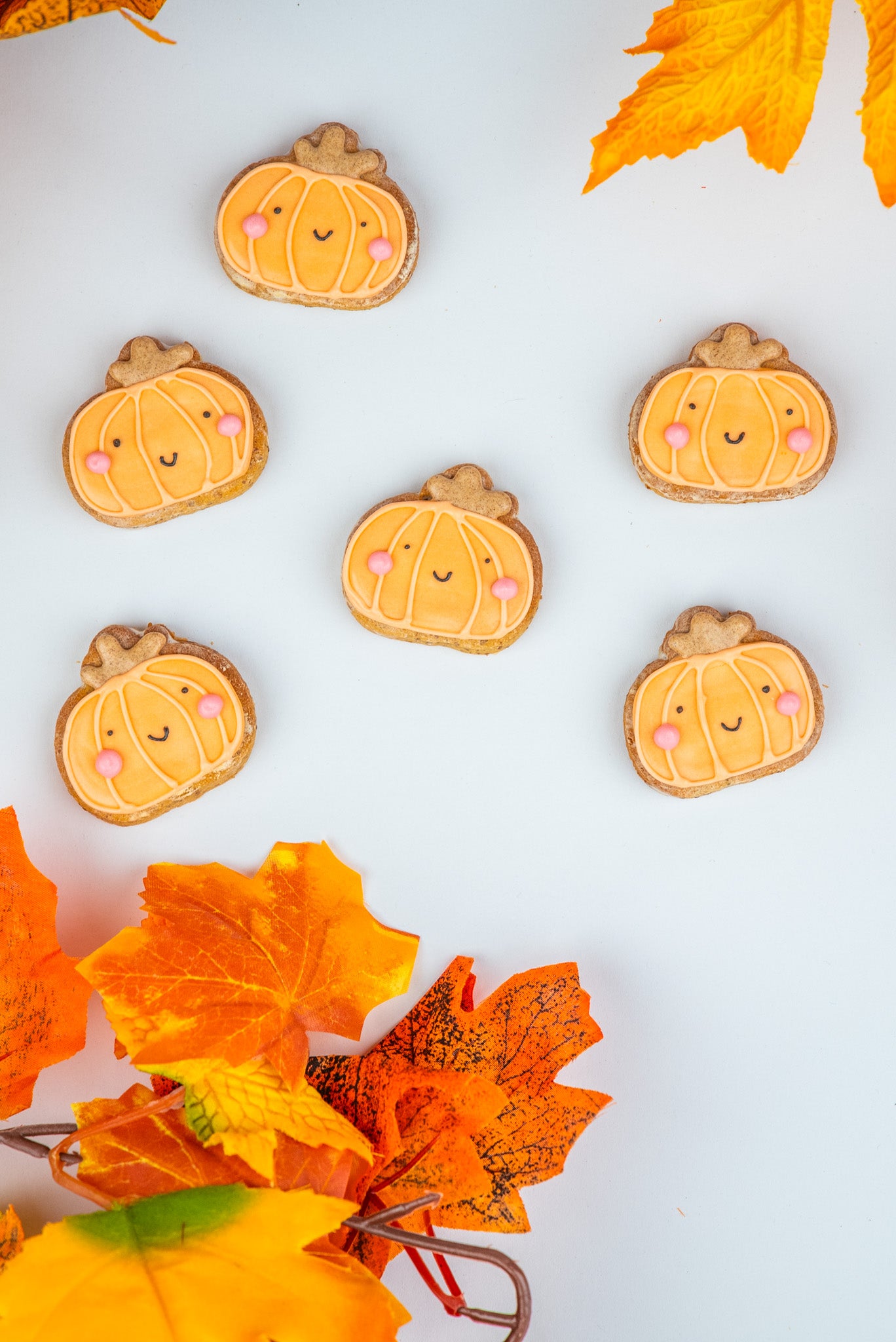 Mini Cute Pumpkins - 4 pack