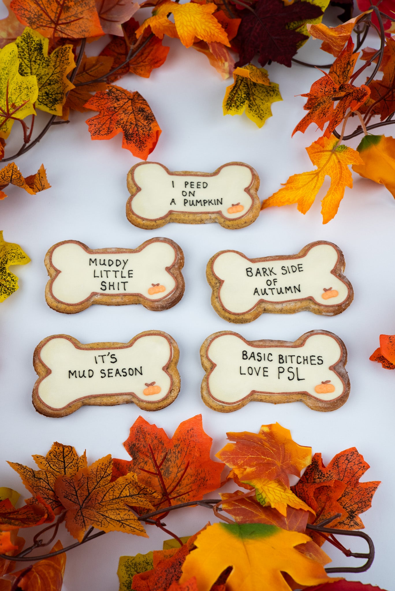 Limited Edition Autumn Big Bones