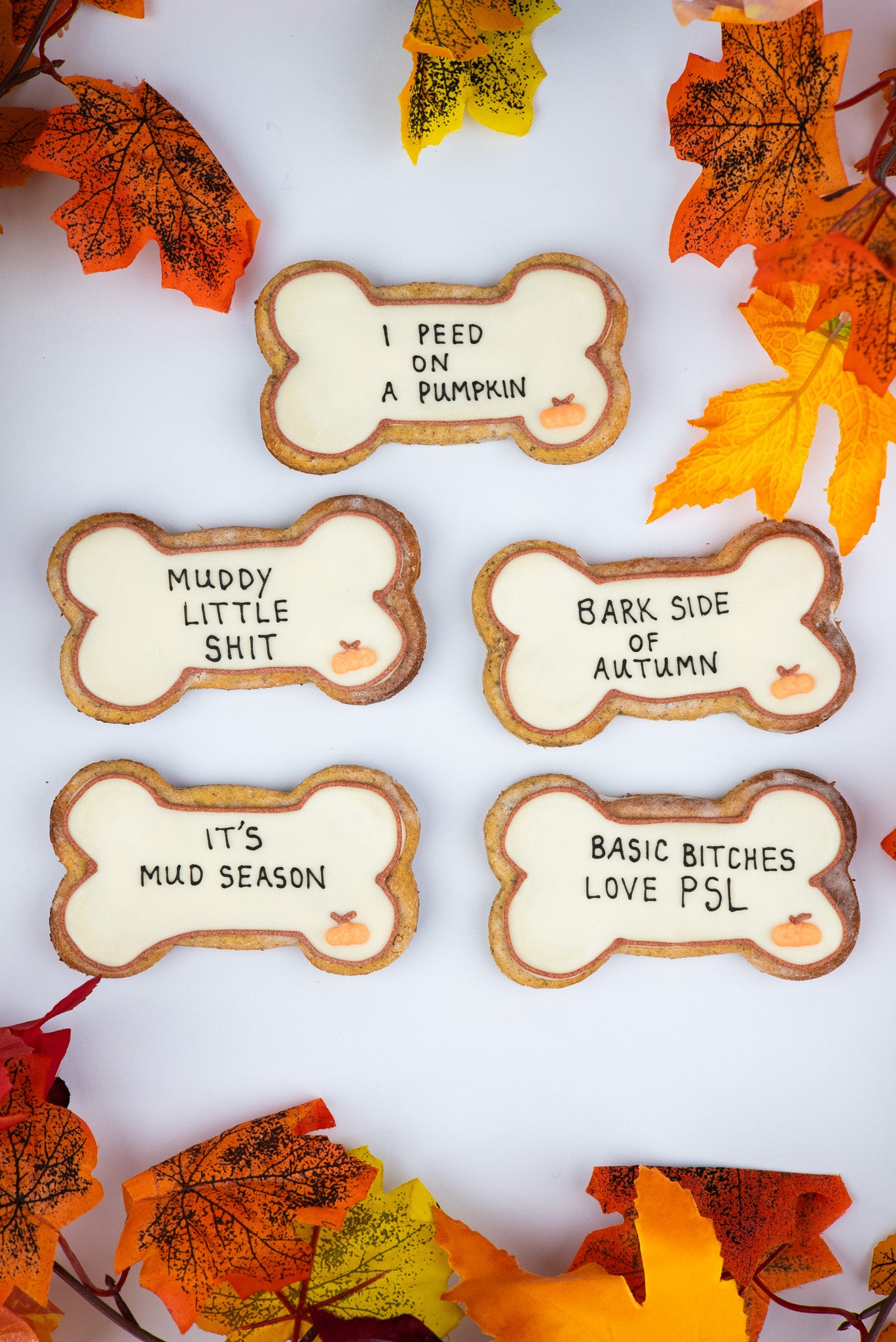Limited Edition Autumn Big Bones