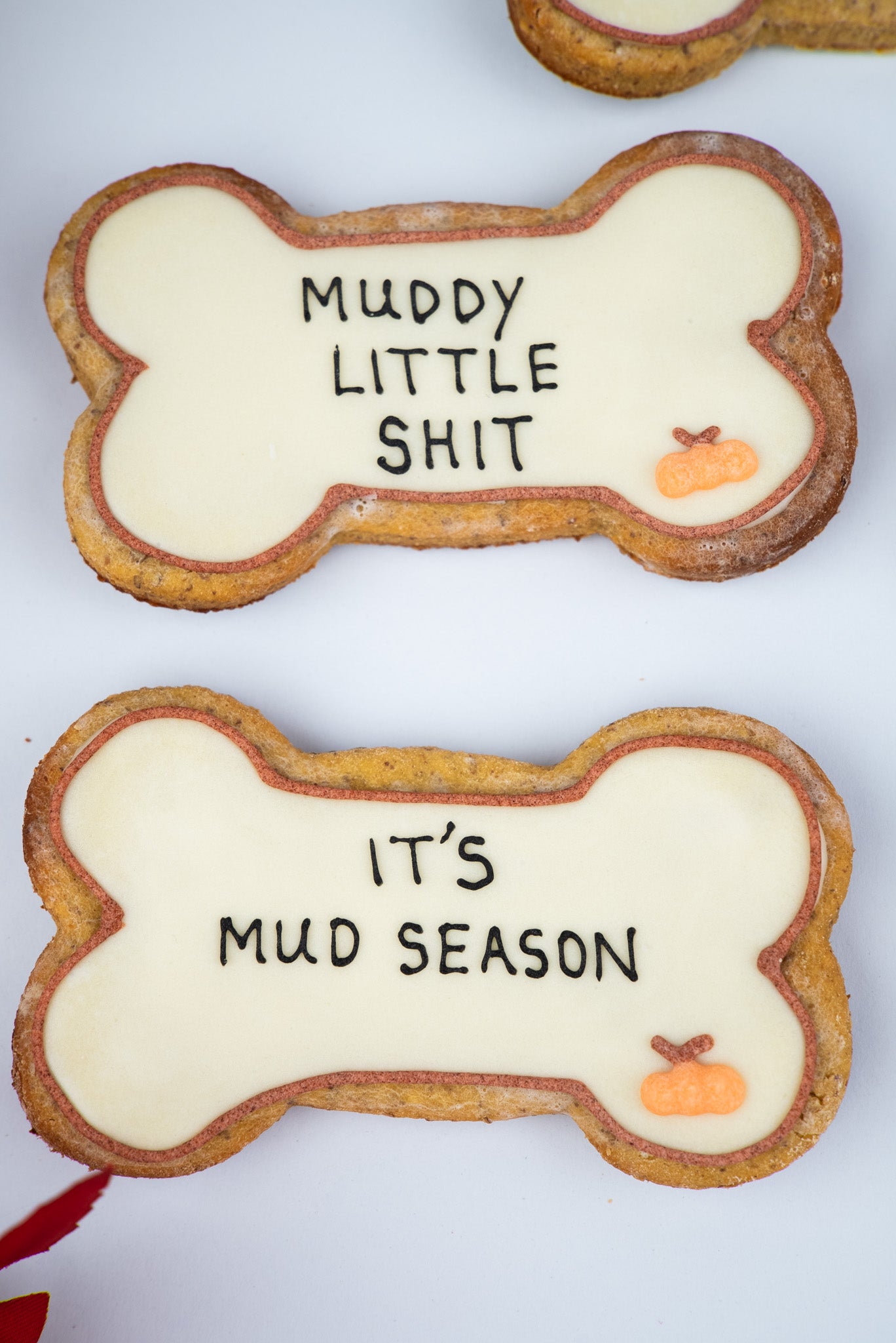 Limited Edition Autumn Big Bones