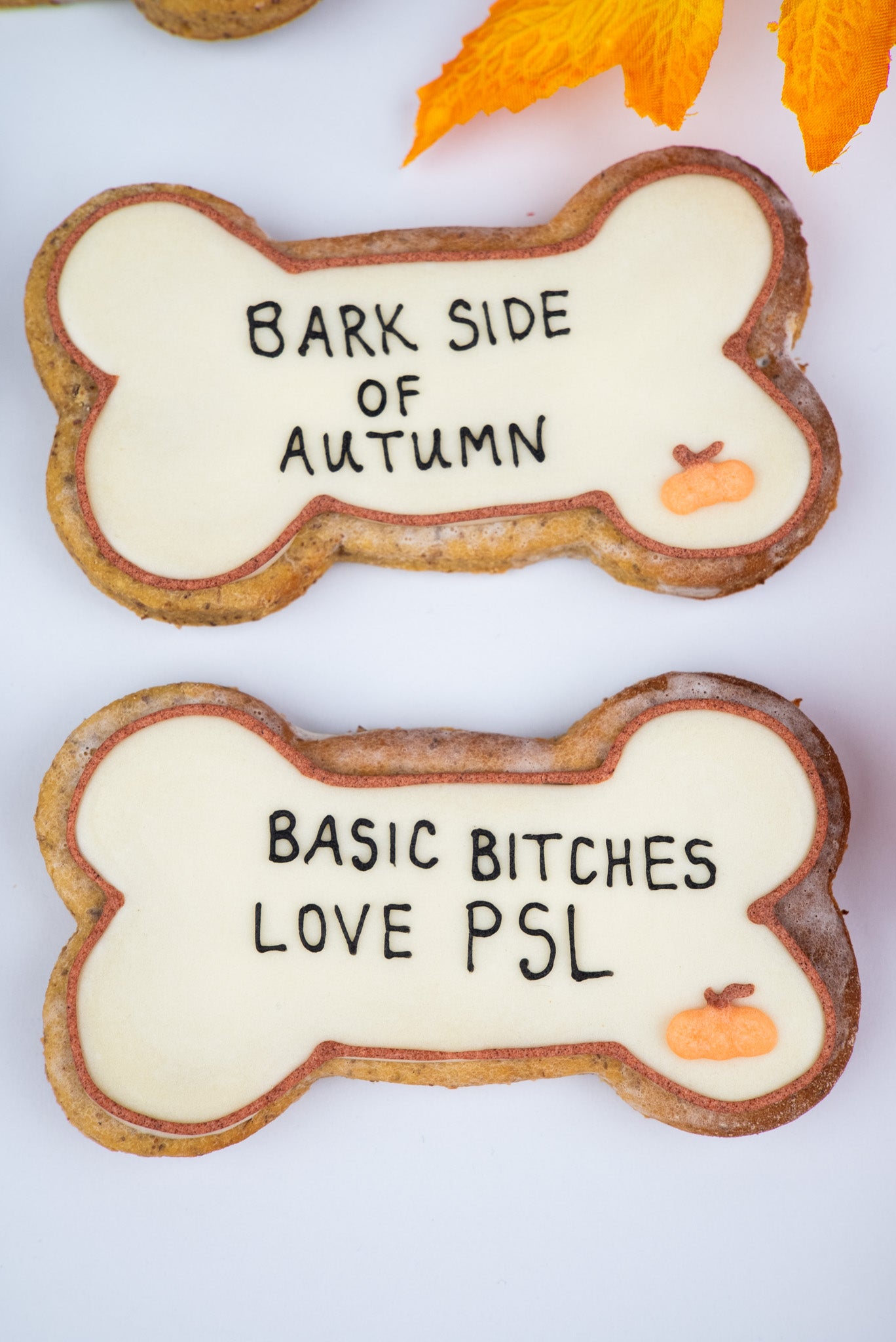 Limited Edition Autumn Big Bones