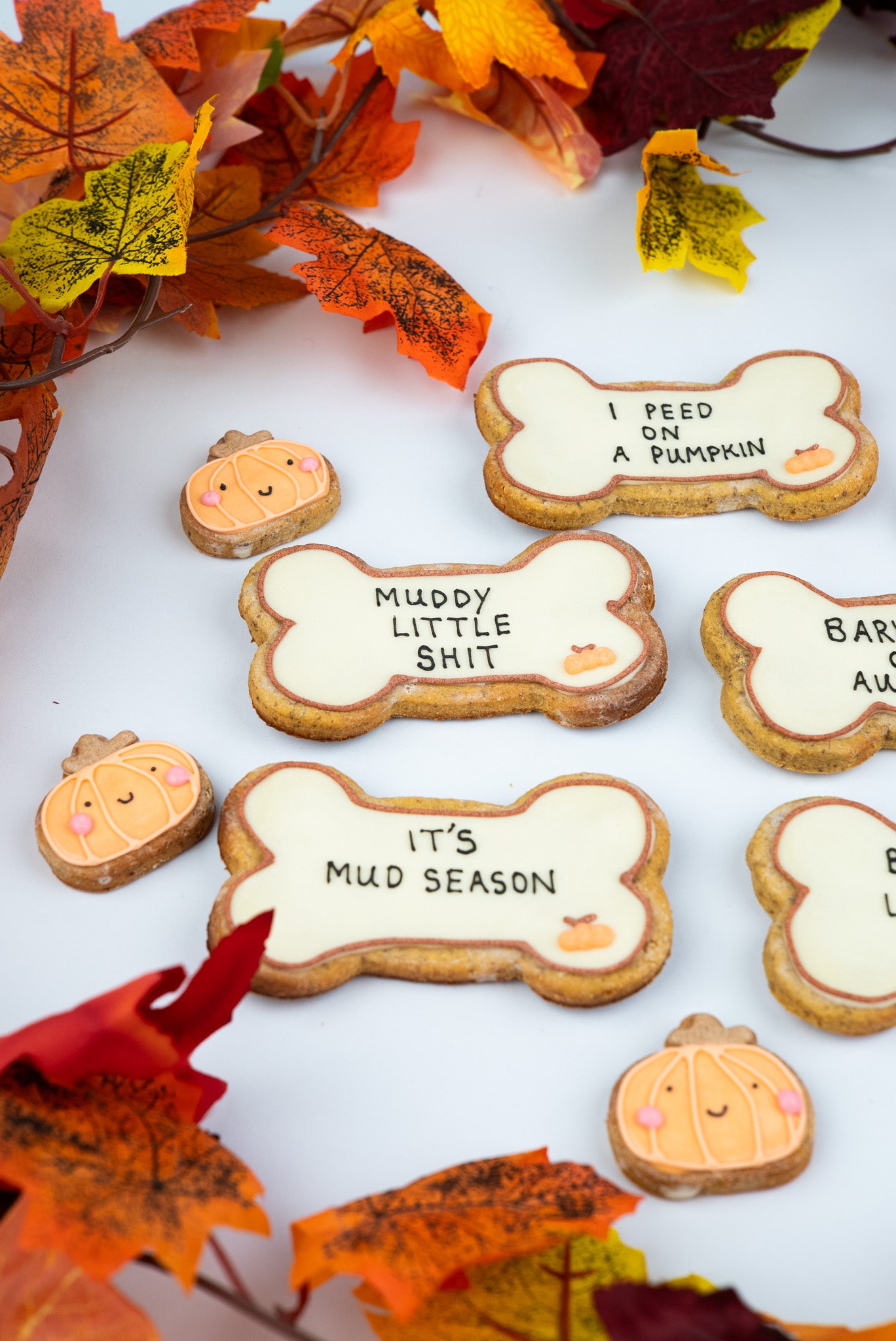 Limited Edition Autumn Big Bones