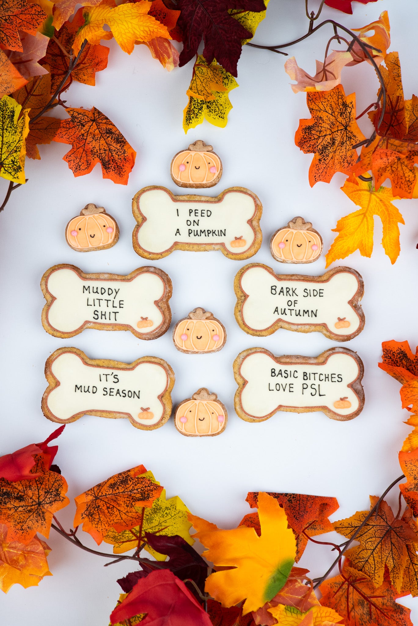Limited Edition Autumn Big Bones