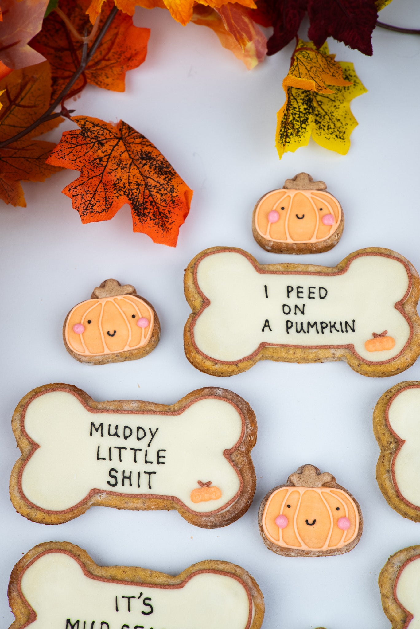 Limited Edition Autumn Big Bones