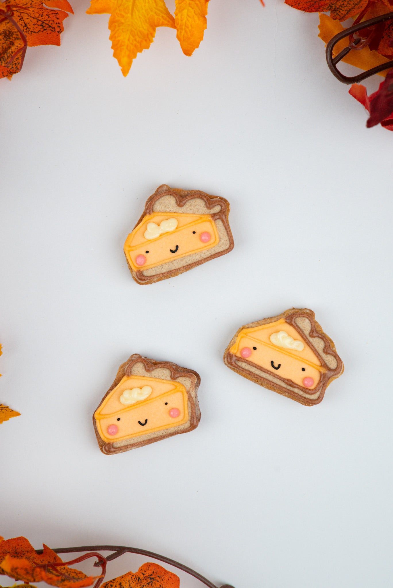 Lil Pumpkin Pie - 3 pack
