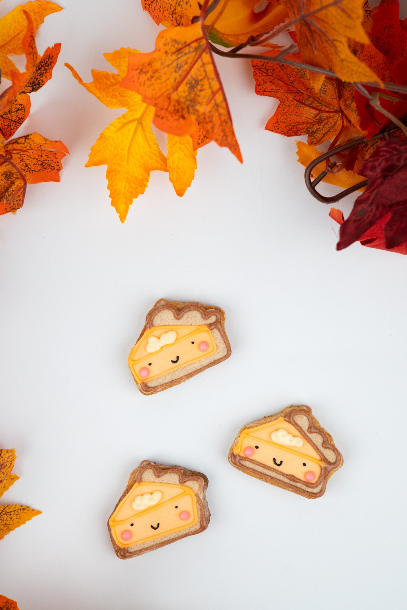 Lil Pumpkin Pie - 3 pack