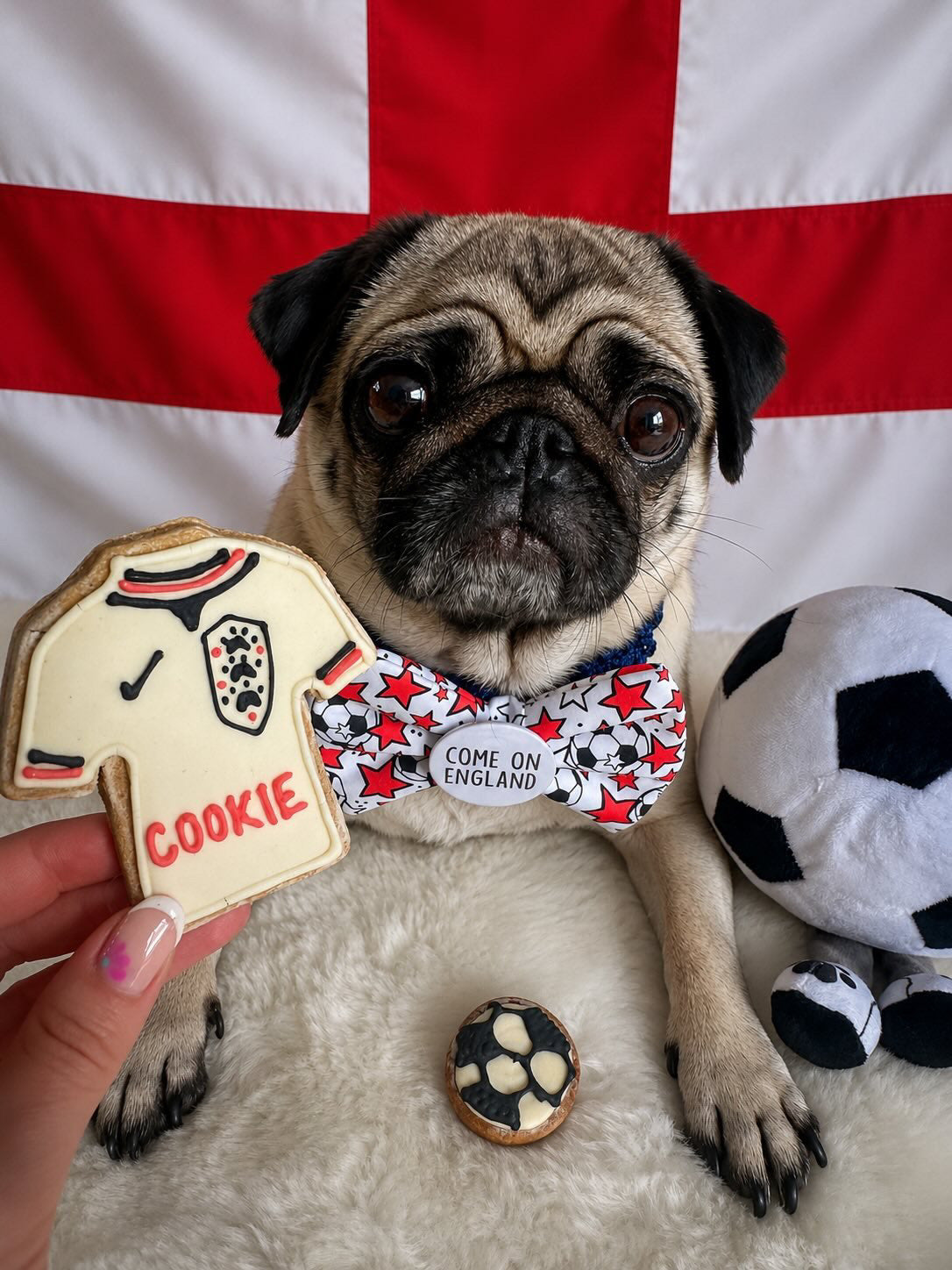 England Till I Woof Set