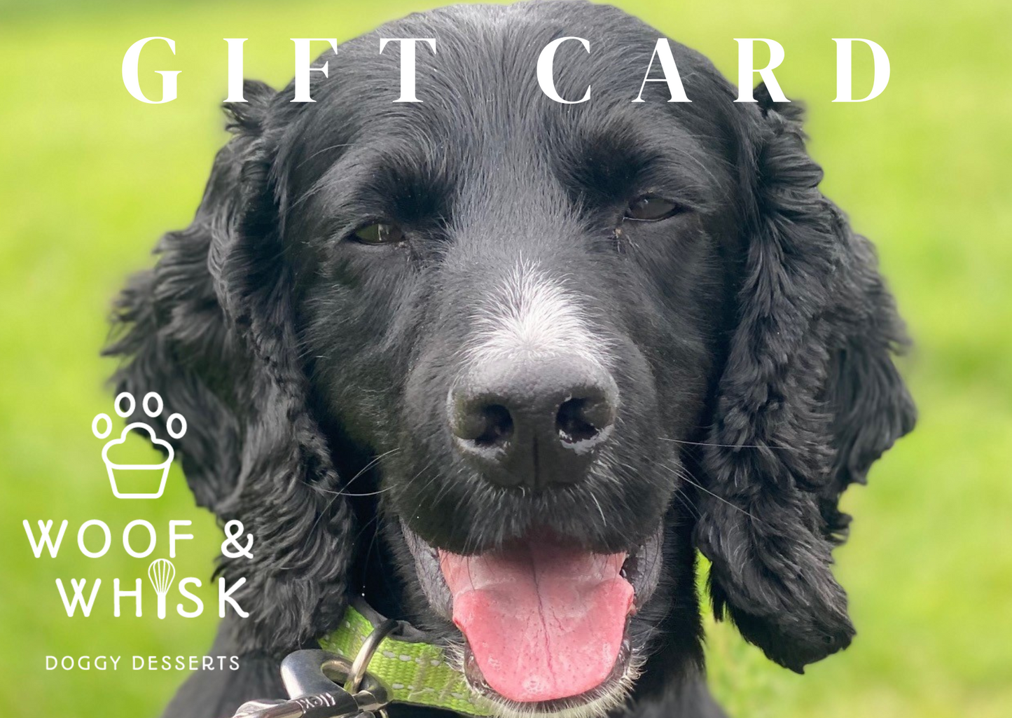 Woof & Whisk Gift Card