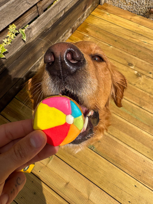 Beach Ball Biscuit