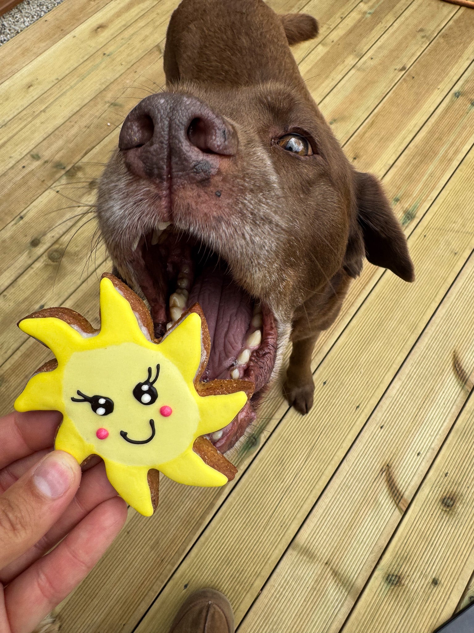 Sunshine Cookies