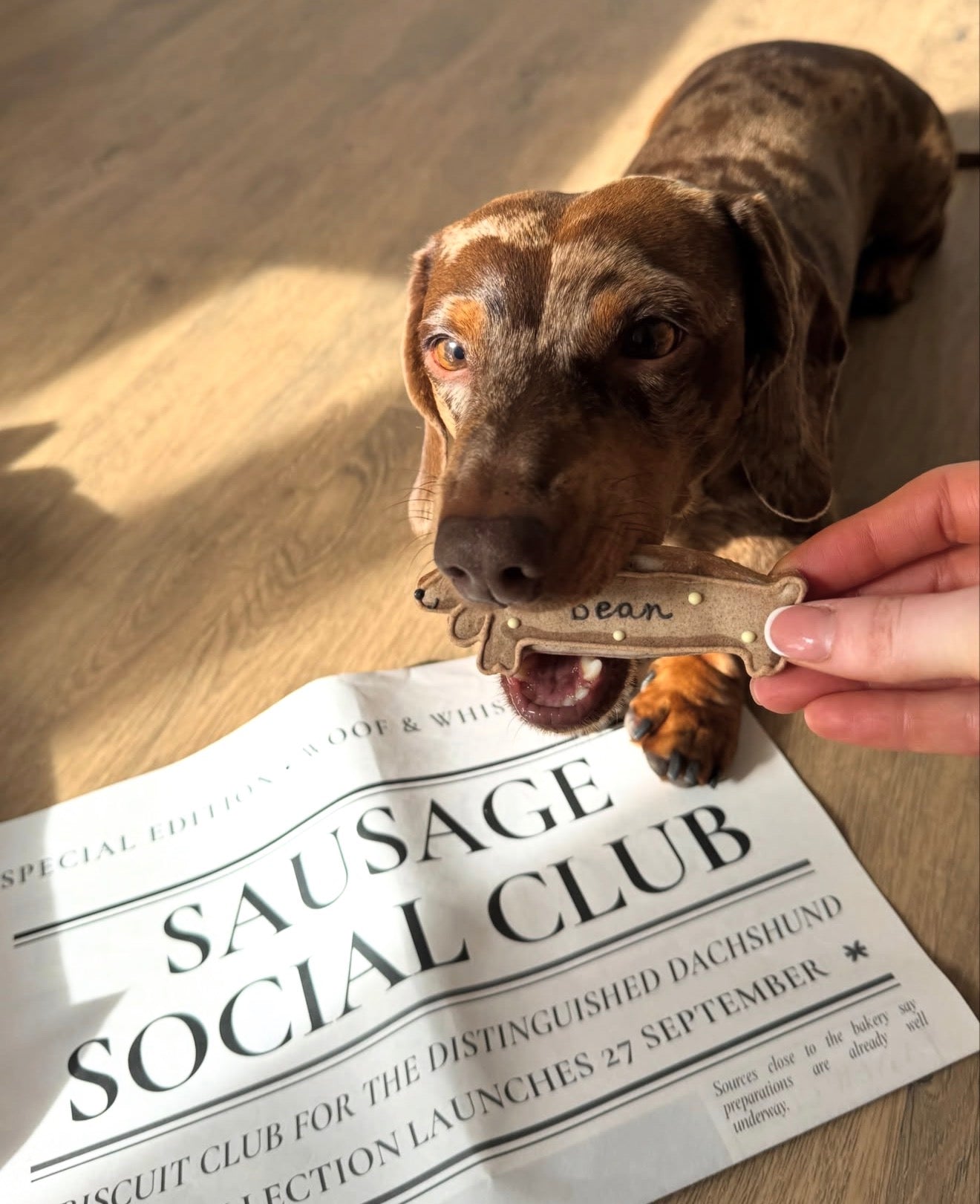 Personalised Sausage Dog Biscuit Duo