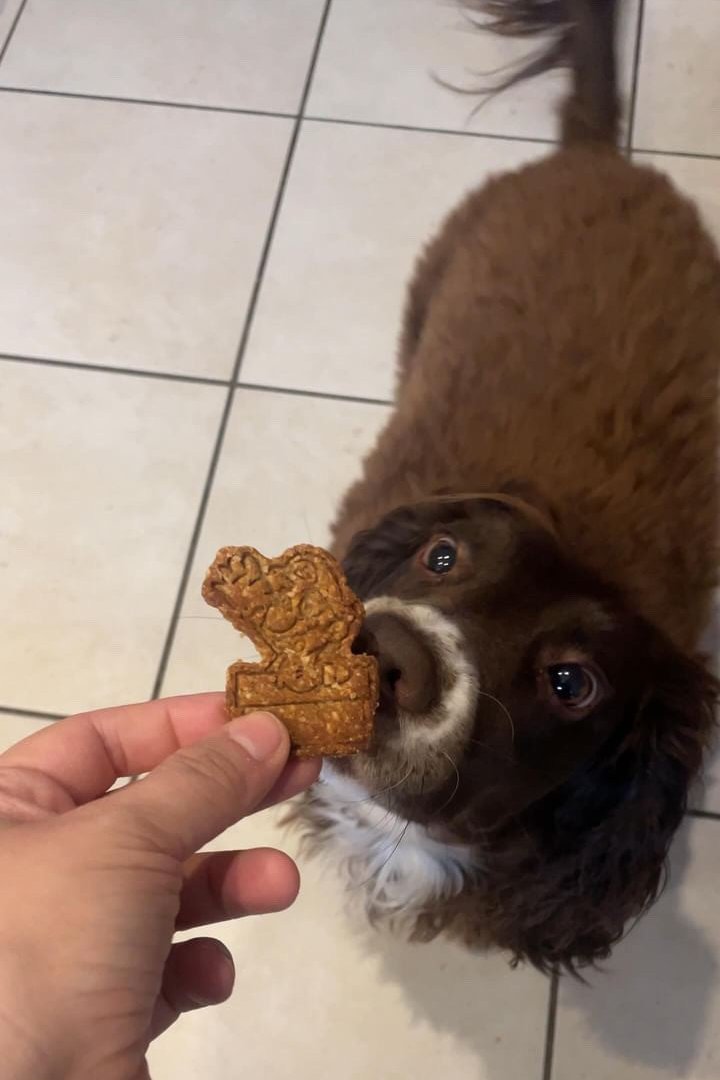 Mario Cookies