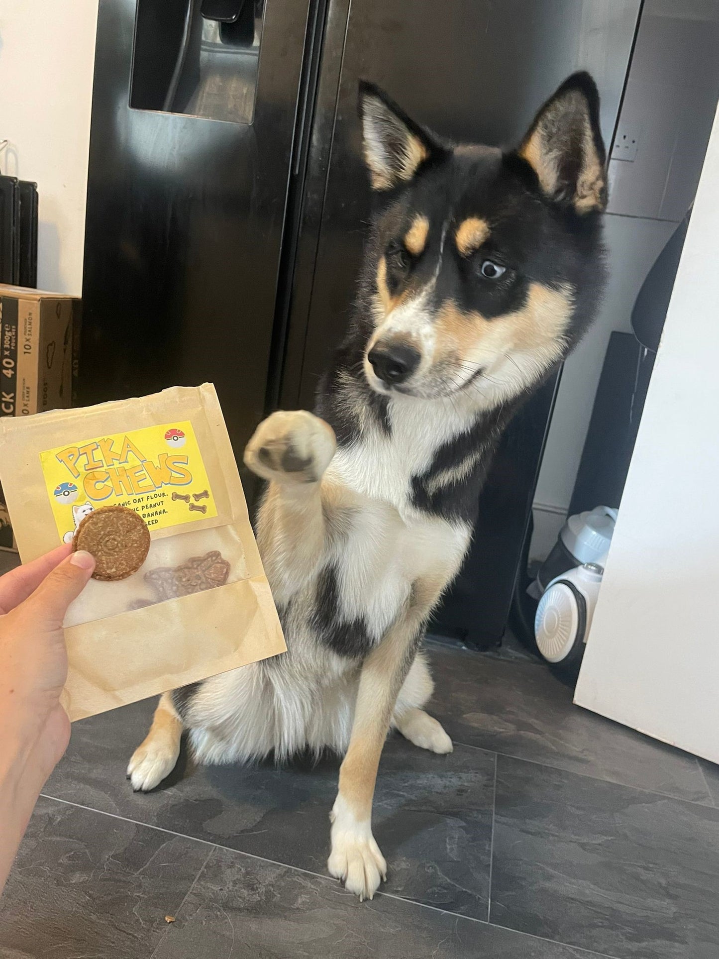 Pika Chews